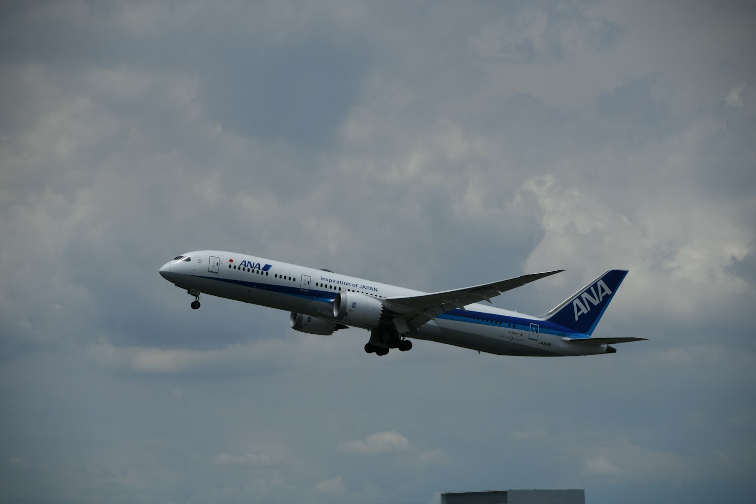 ANA Boeing 787 flying against a cloudy sky