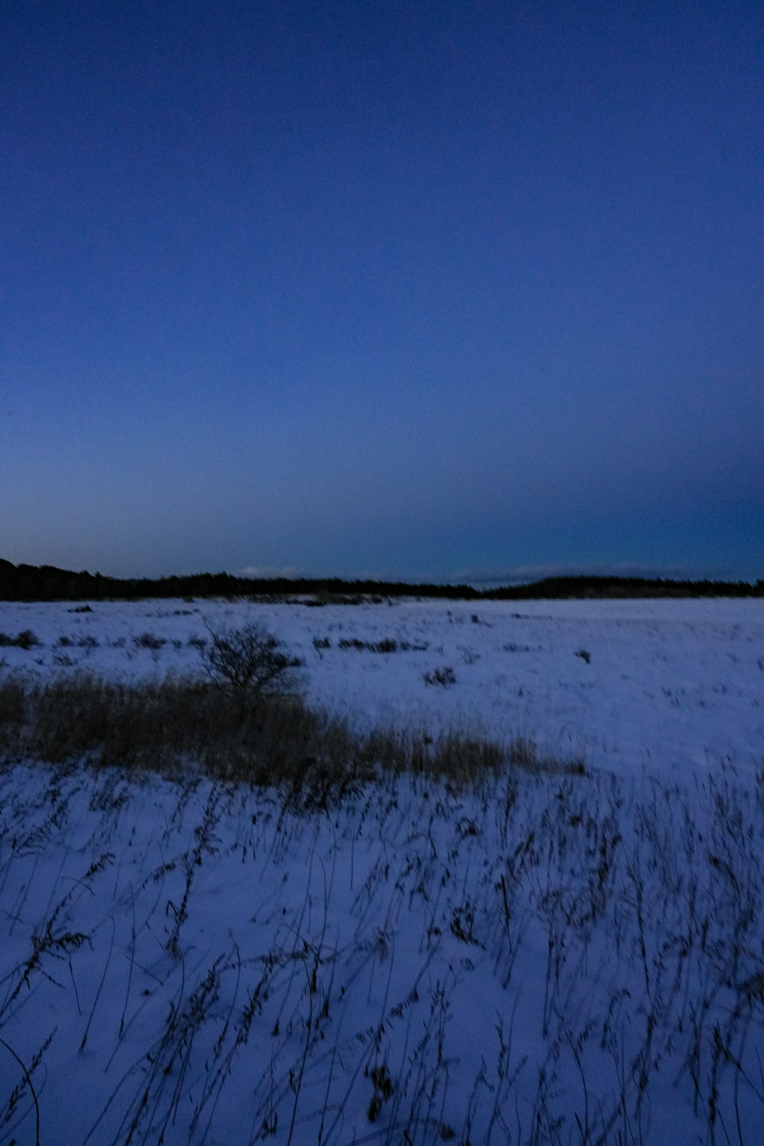 photo-AEGWvmwvPtwsFnv2Ji35-image