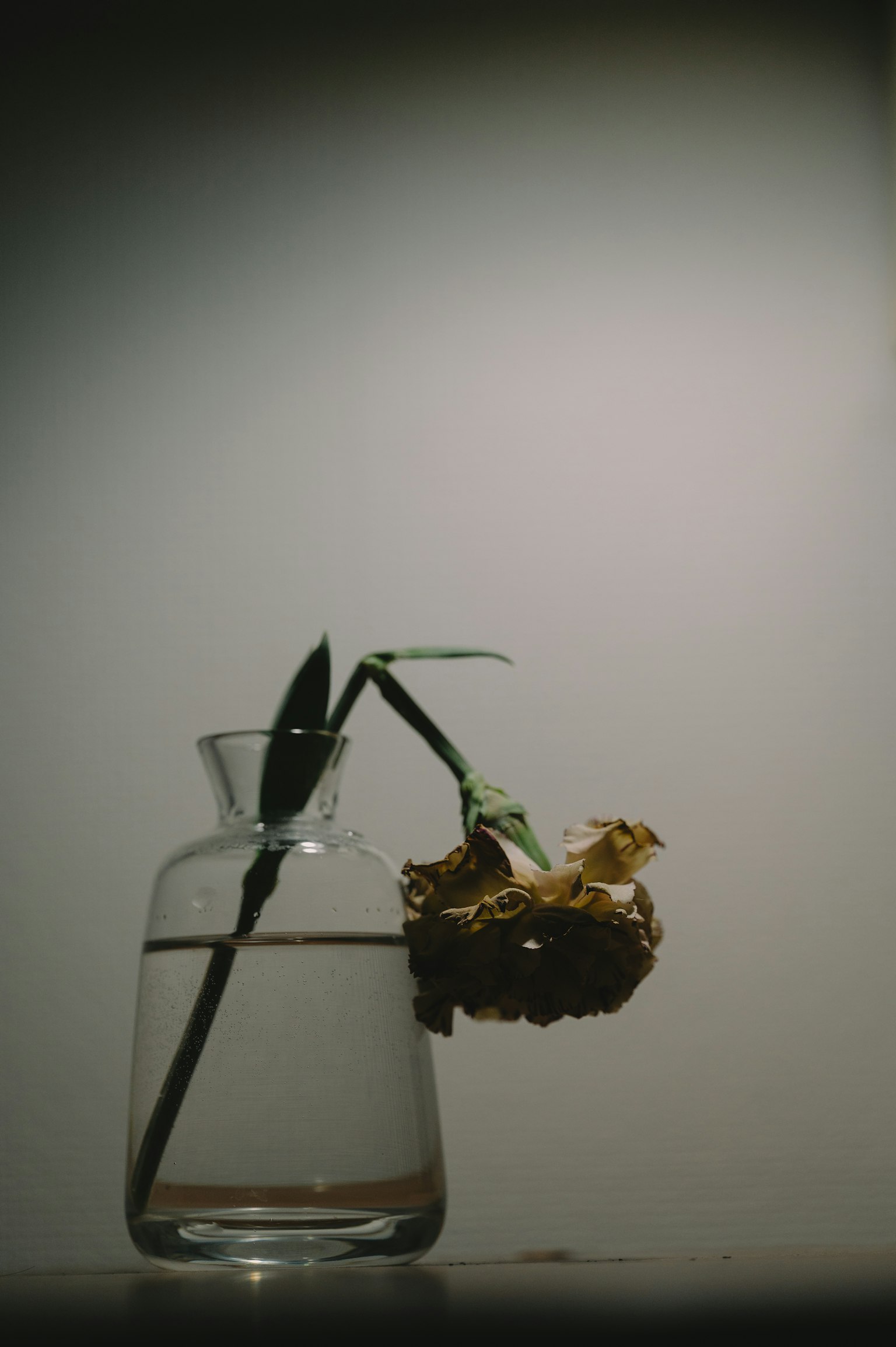A vase with water containing a wilted flower and leaves