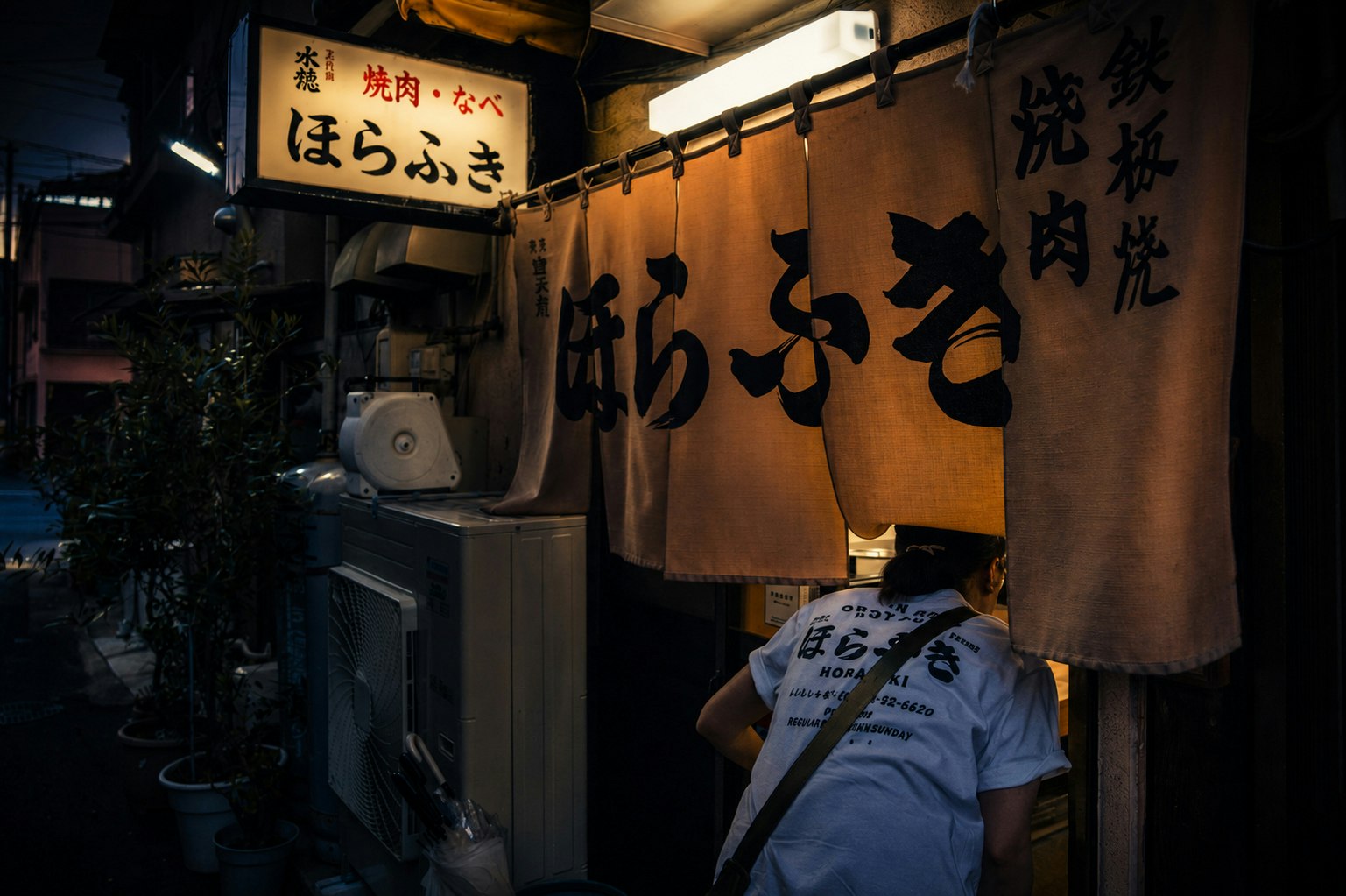 夜晚小巷裡的燒鳥店，燈籠與暖簾