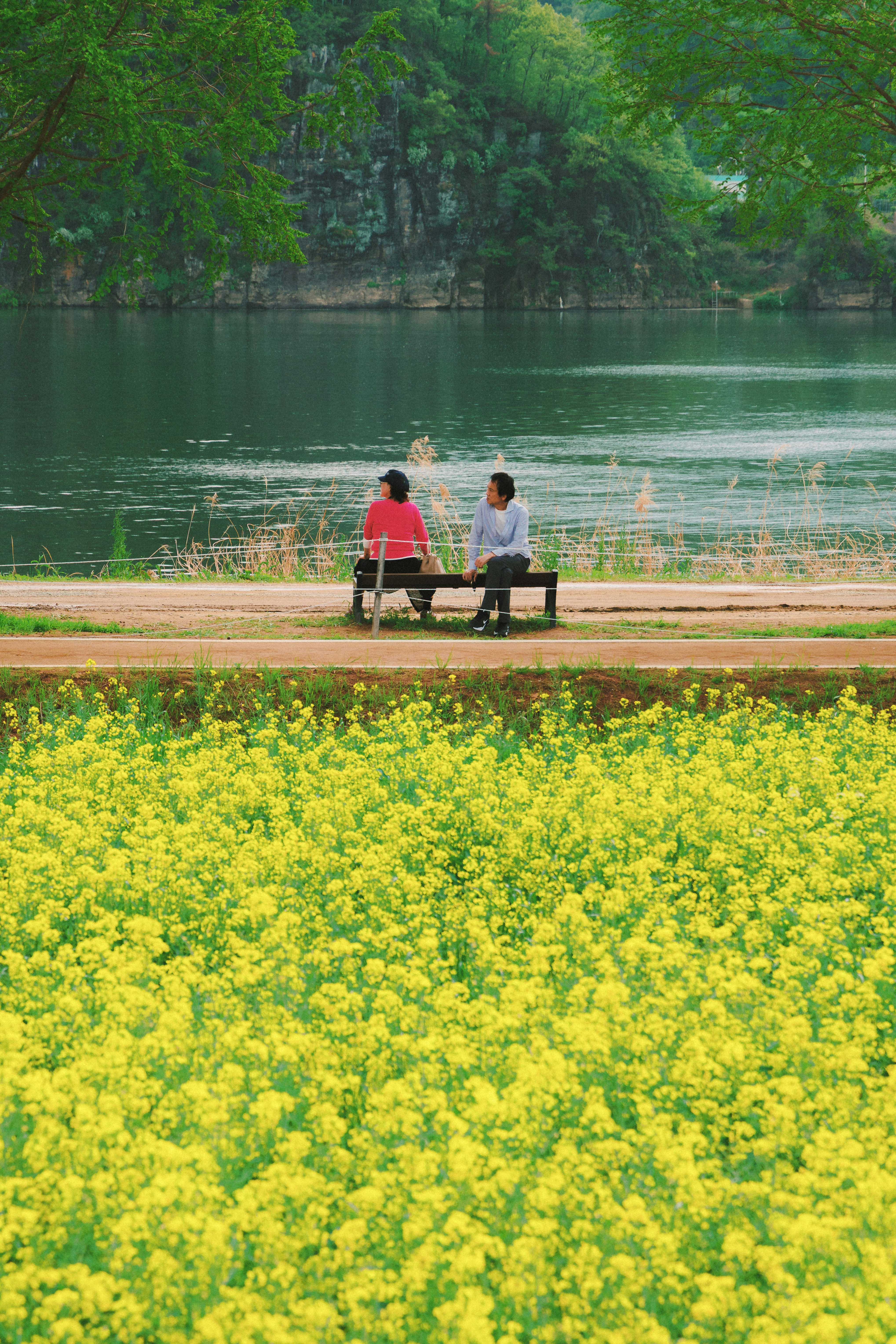 黄色い花畑の前で湖畔に座る2人