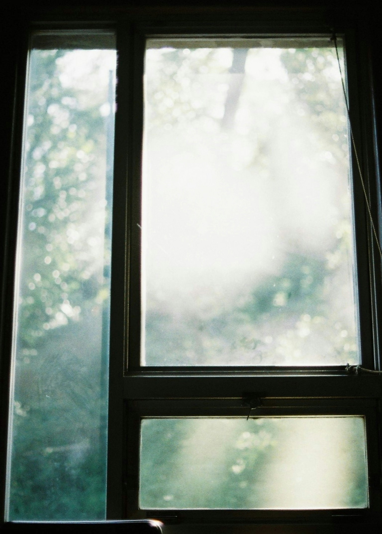 photo-AFGfUdI6bFm4lVWmiMCD-image