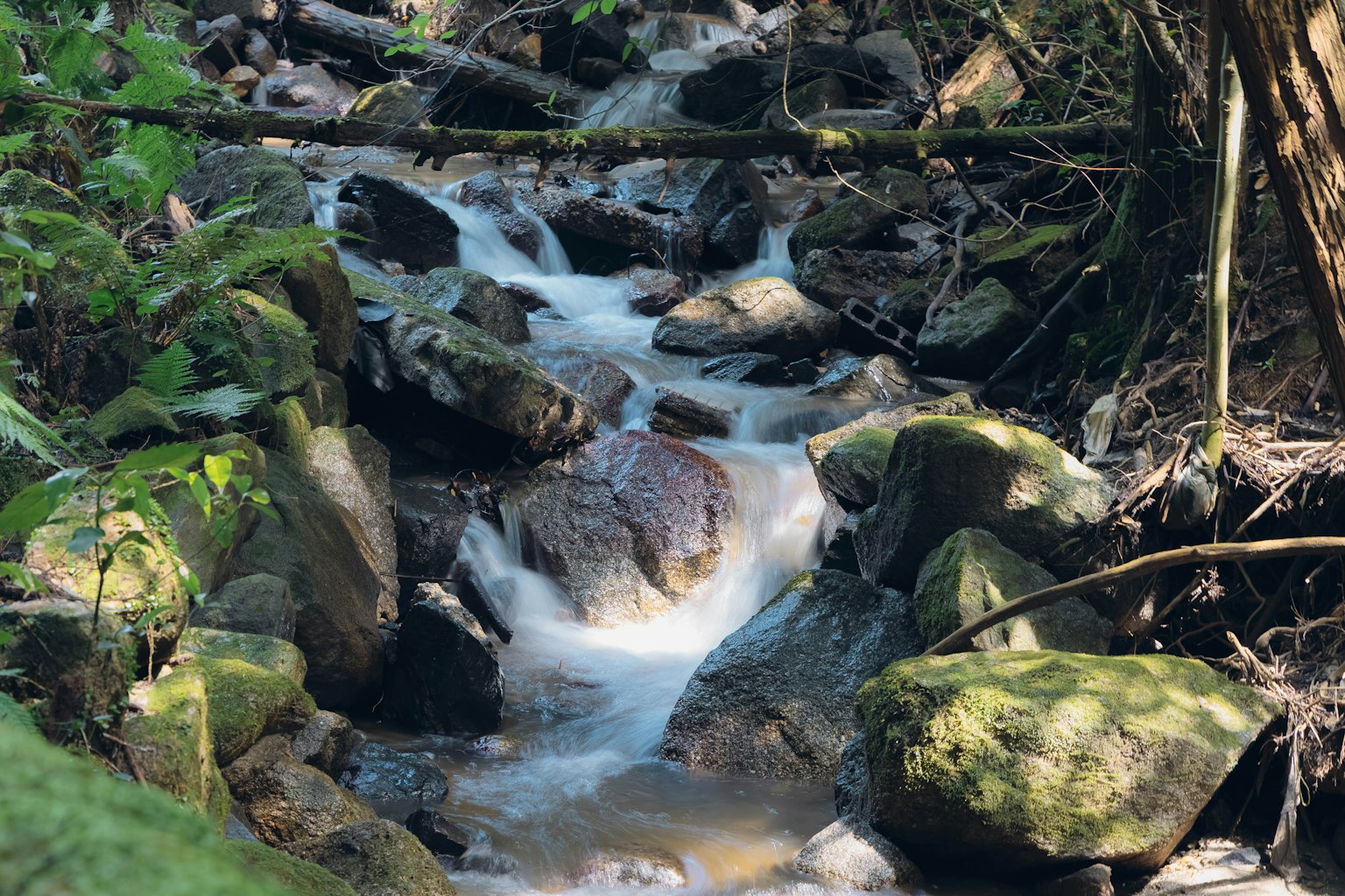 Un petit ruisseau coulant à travers une forêt luxuriante avec des rochers et un léger écoulement d'eau