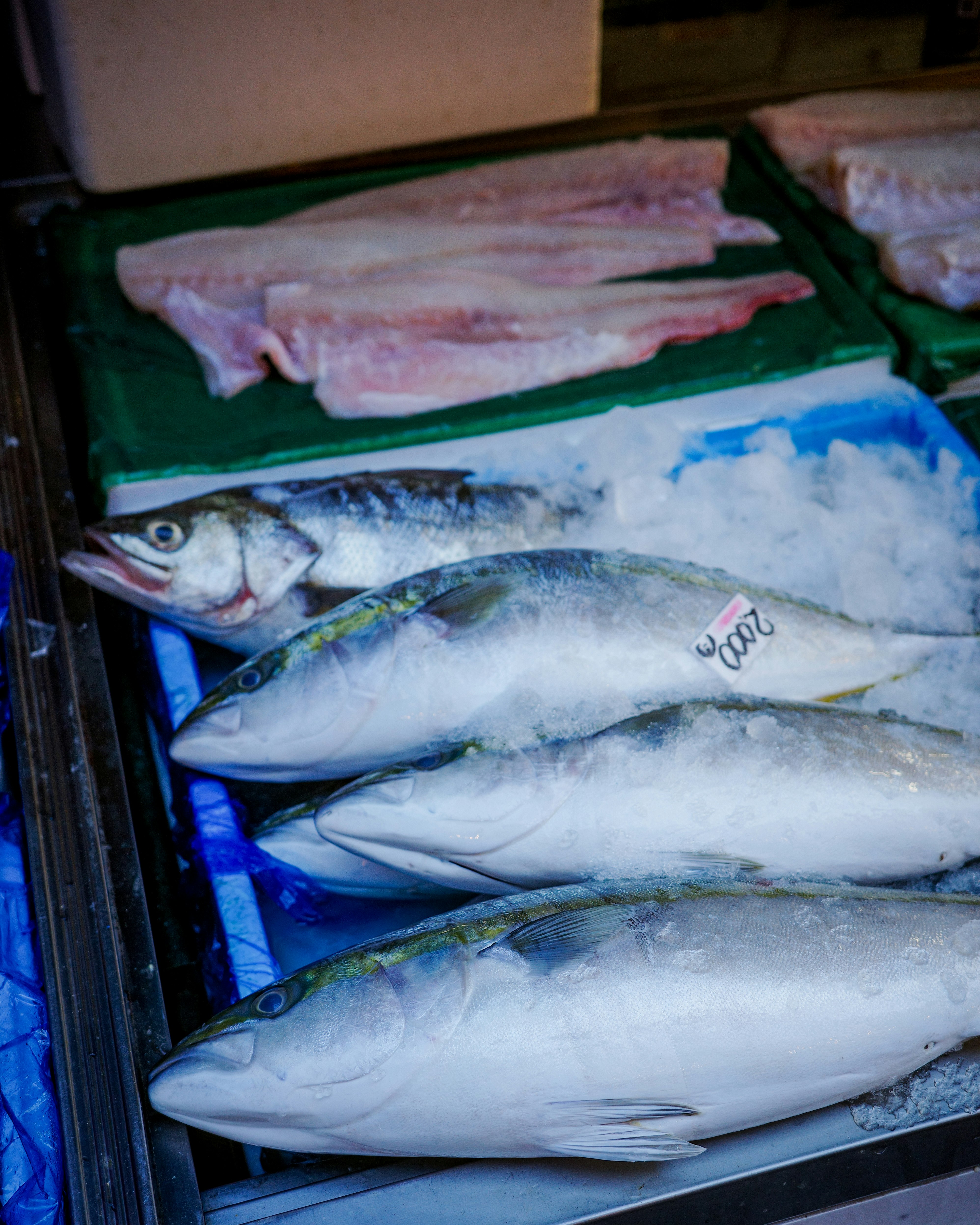 氷の上に並ぶ新鮮な魚の鮮魚ケース
