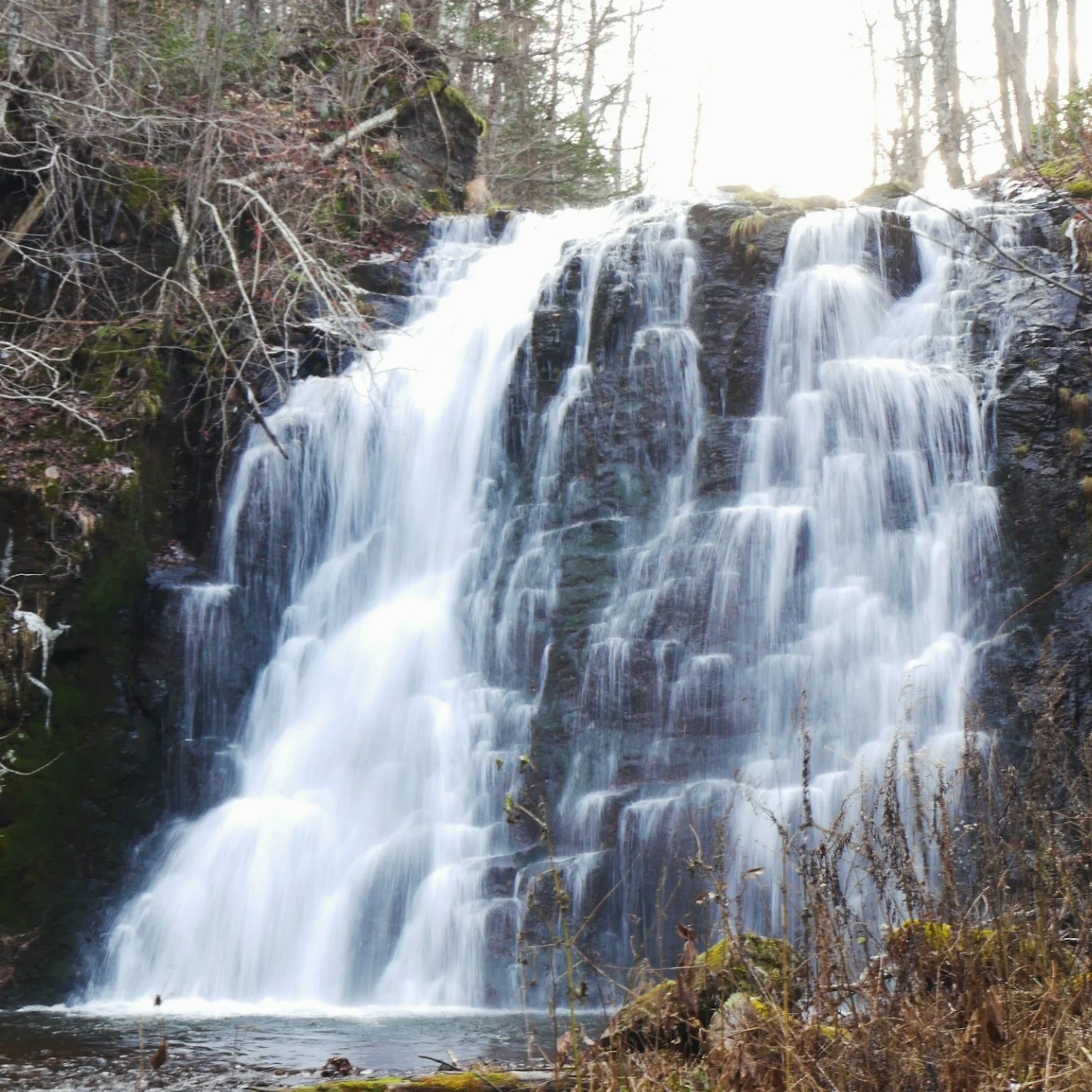 Hermosa cascada fluyendo en un entorno forestal sereno