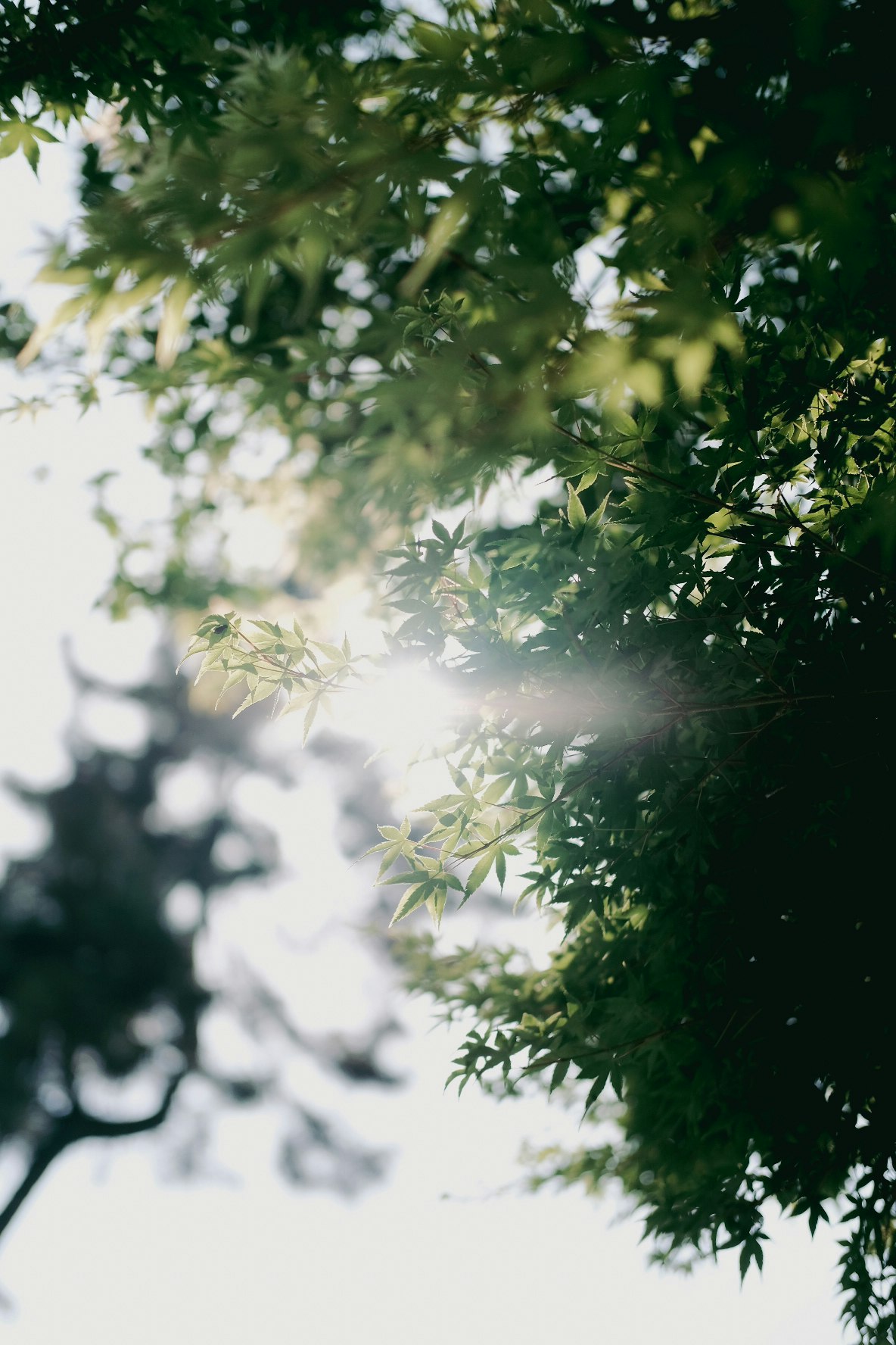 photo-AGZA3c0vKqefm2NCr1LR-image