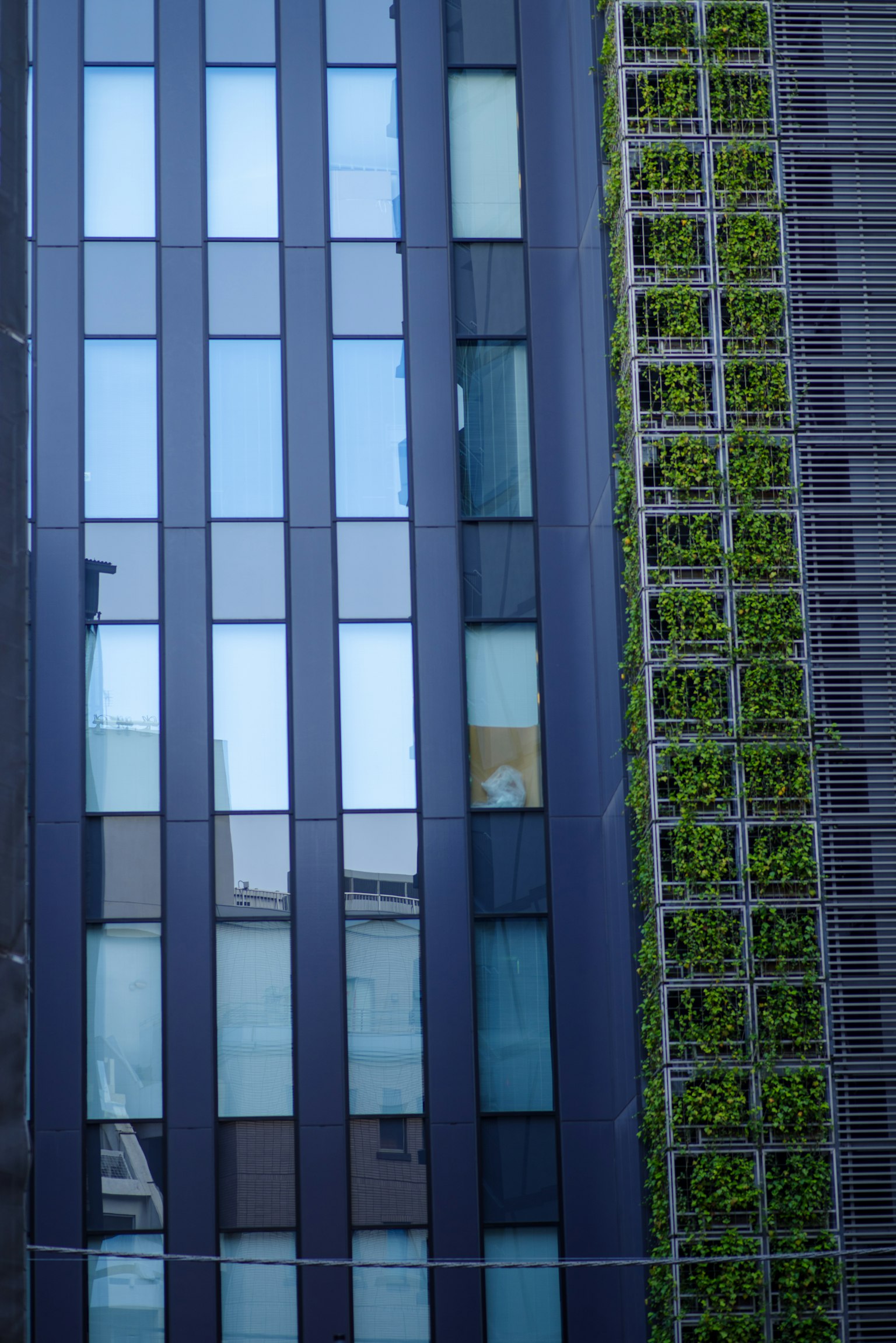 ํ๋ ์ ๋ฆฌ์ ๋
น์ ๋ฒฝ์ด ์๋ ํ๋ ๊ฑด๋ฌผ์ ์ผ๋ถ