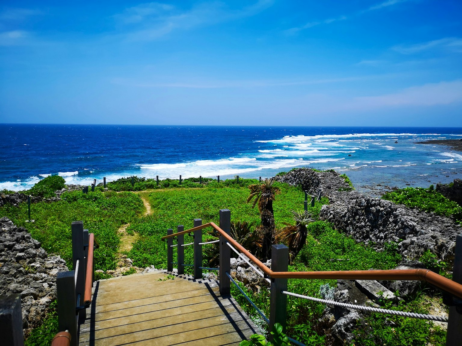 Coastal scene featuring blue ocean and lush greenery