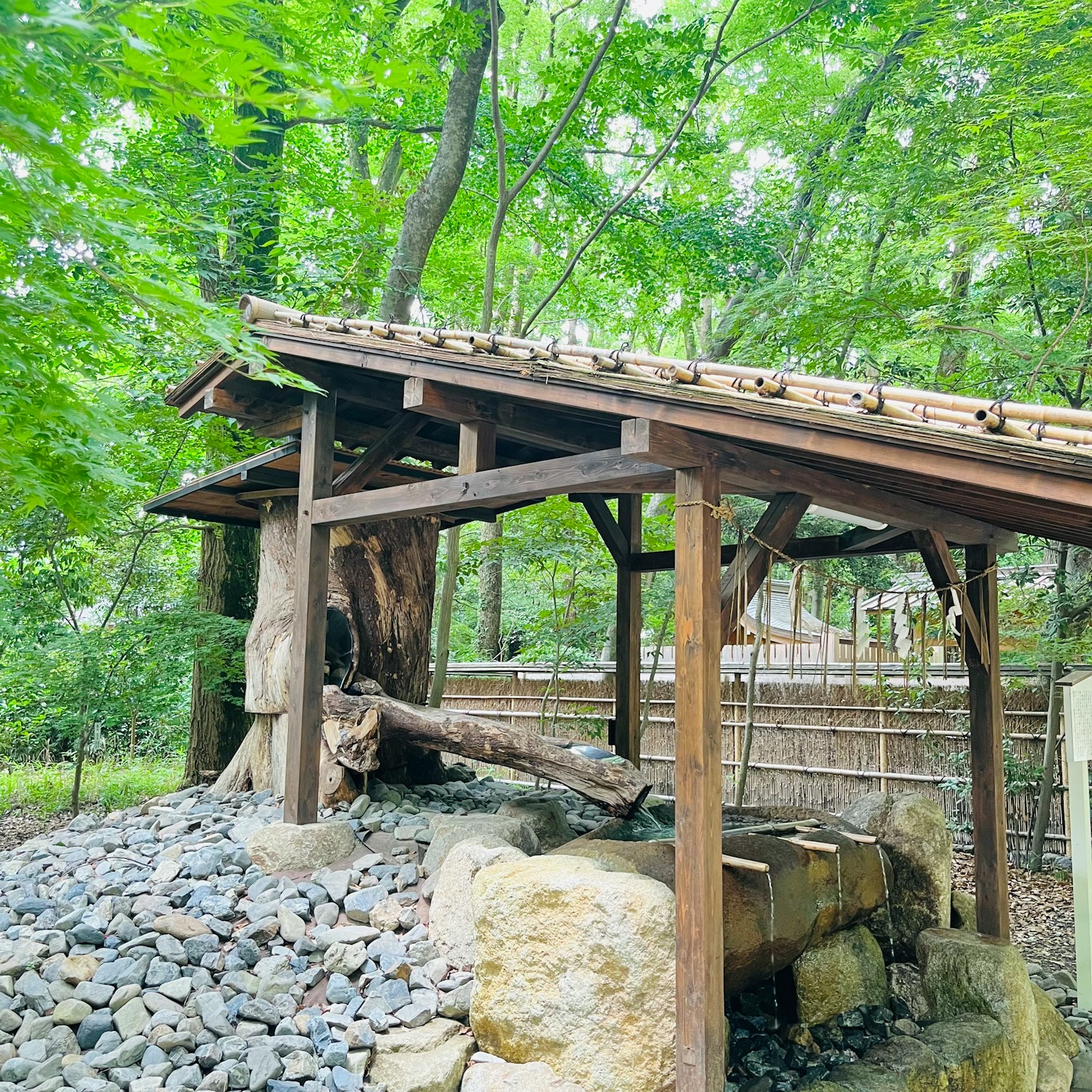 Sorgente d'acqua sotto un tetto di legno circondata da verde lussureggiante