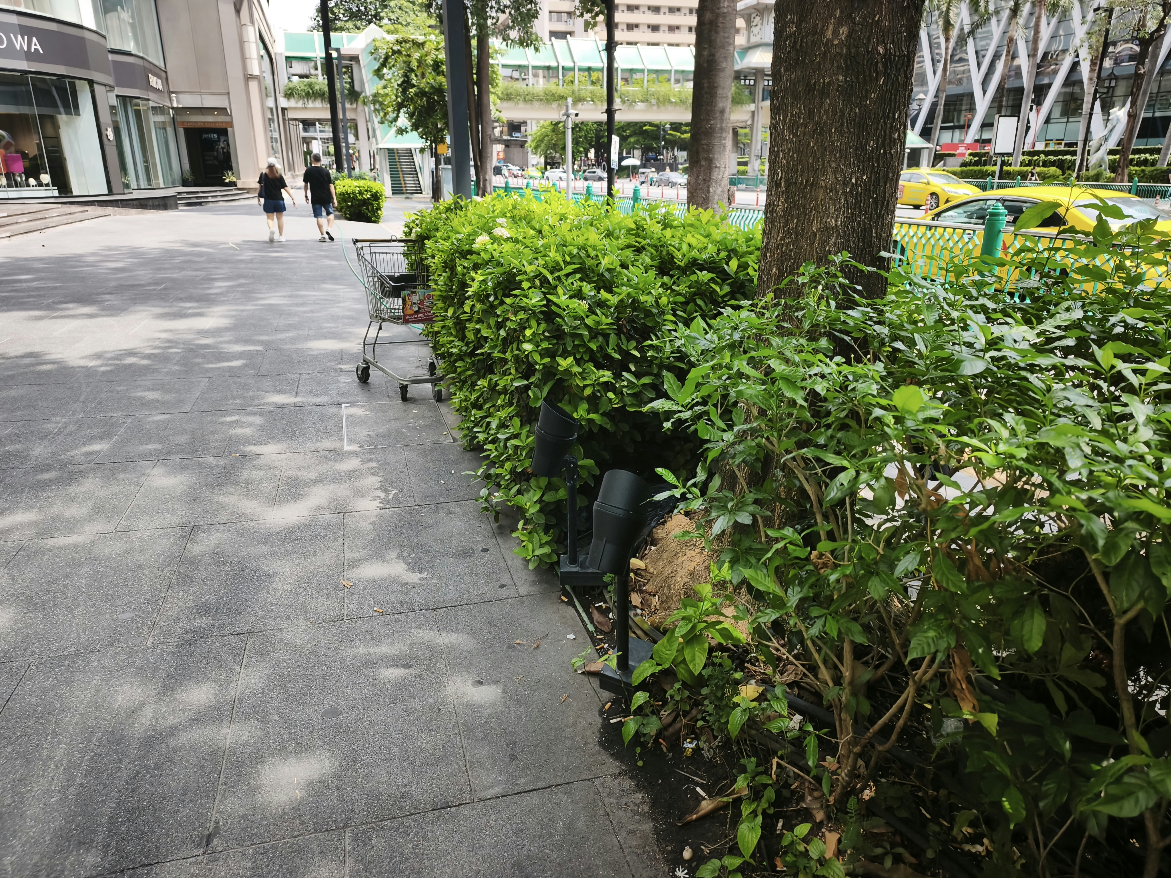 植栽が並ぶ都市の歩道とベンチのある通り