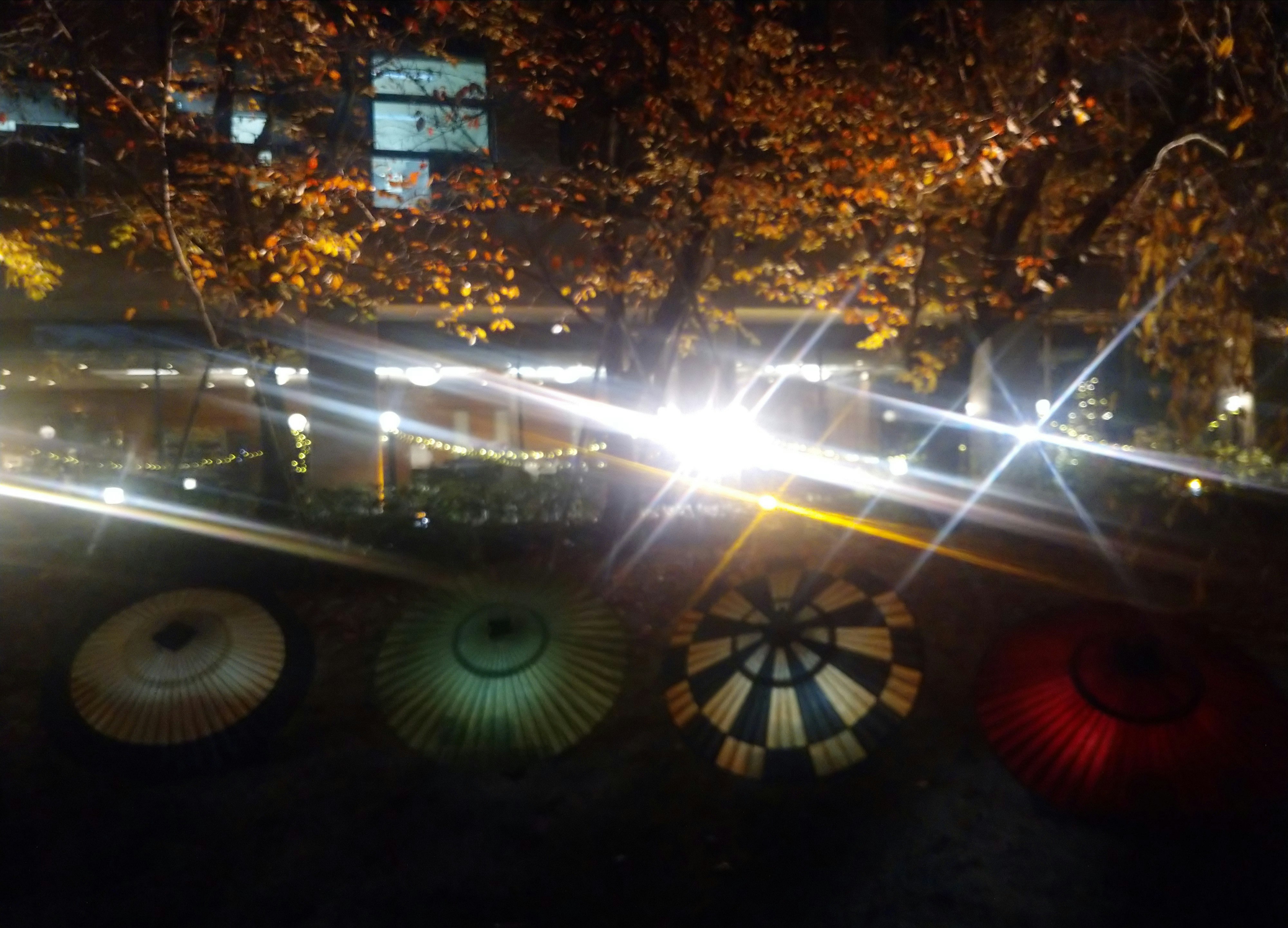 ライトアップされた縮景園の夜景の庭園