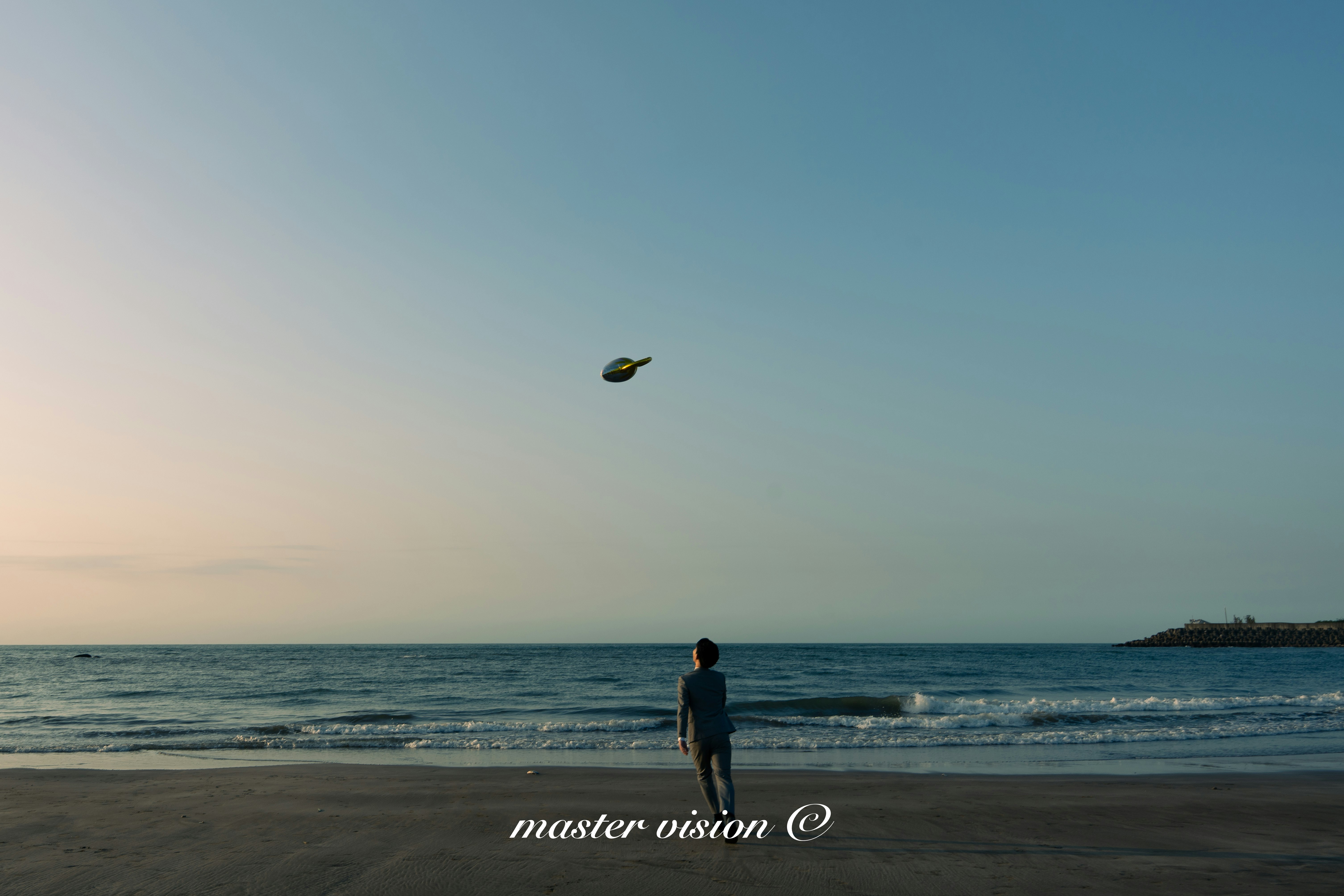 夕暮れの海辺で空を見上げる人と小さな鳥