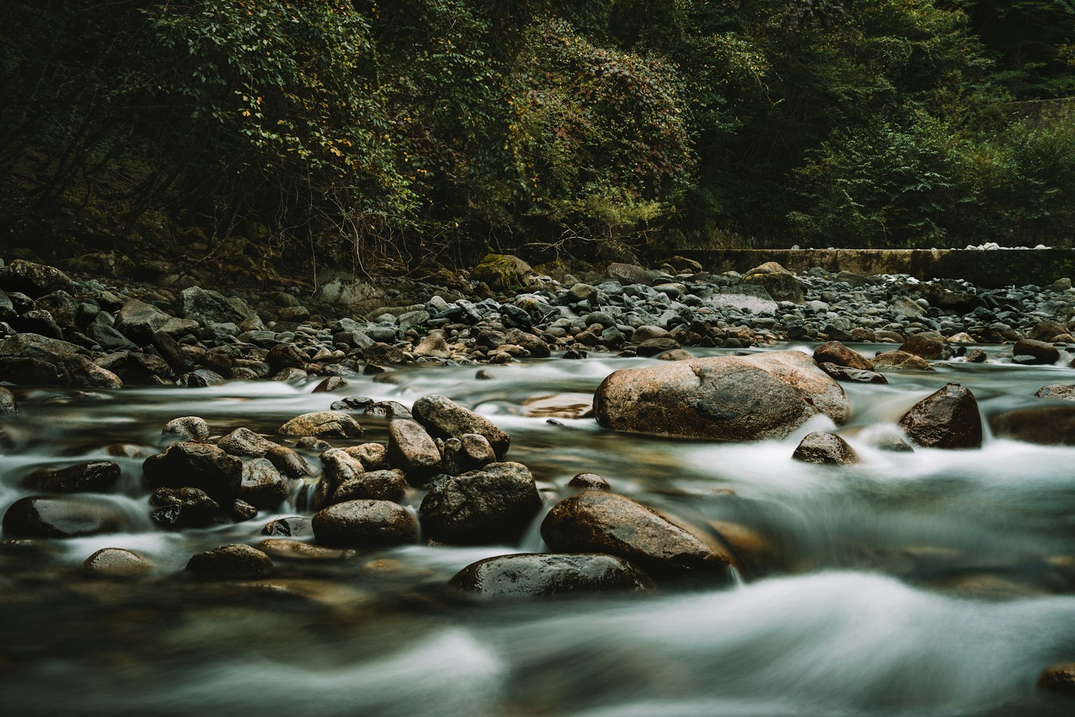 Paysage naturel avec de l'eau qui coule et des rochers