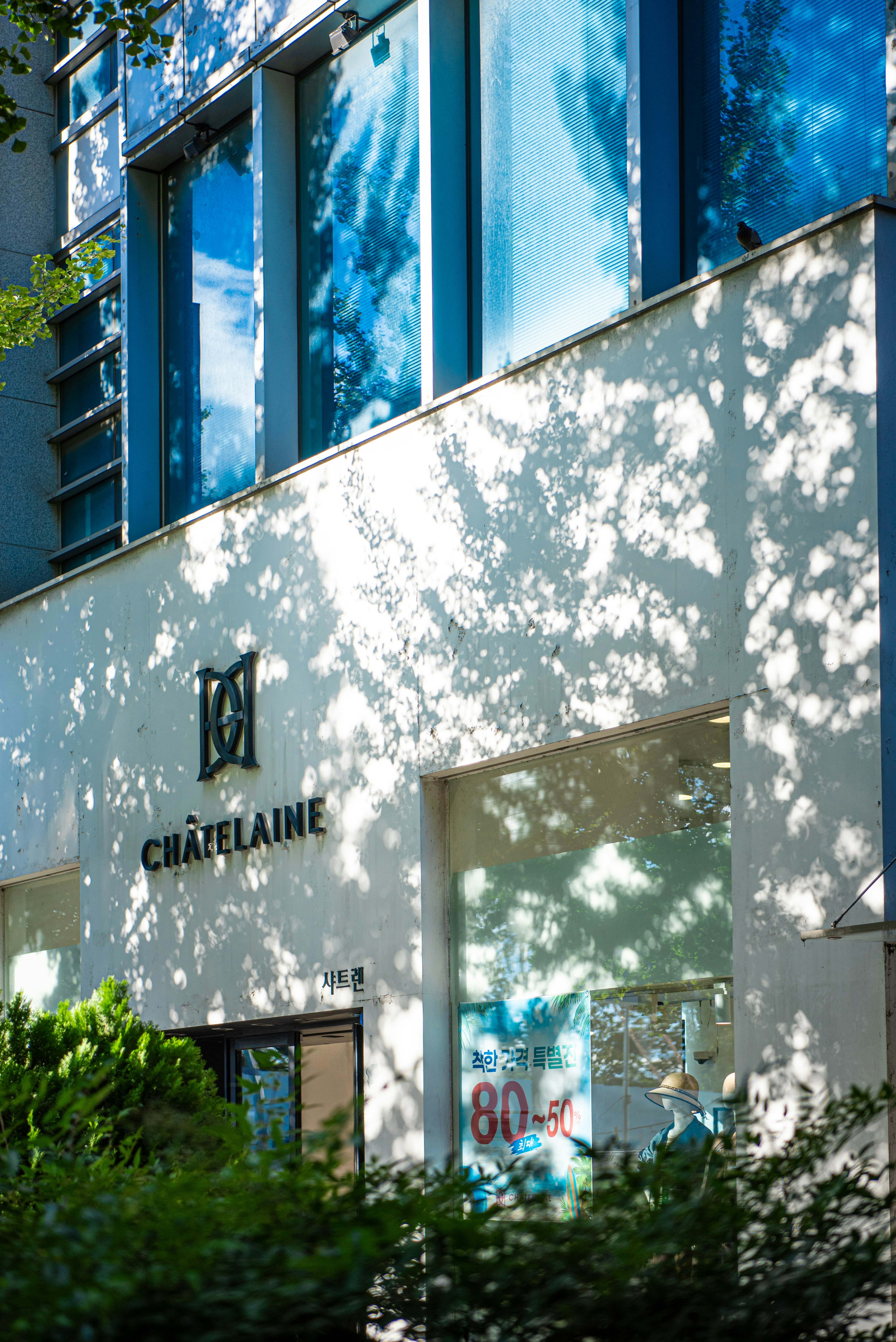 sunlit glass building facade with dappled shadows