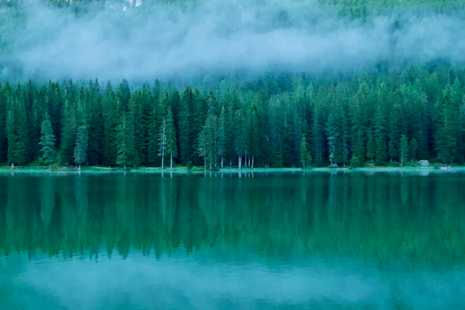 ruhiger See umgeben von nebligem Wald
