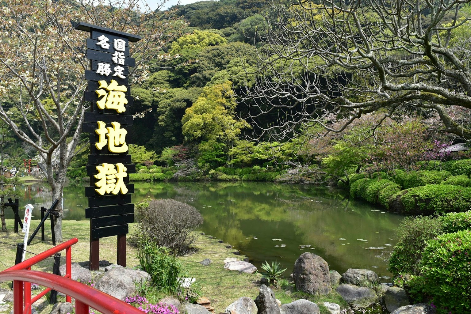 Vista escénica de un jardín japonés con un estanque sereno y vegetación exuberante