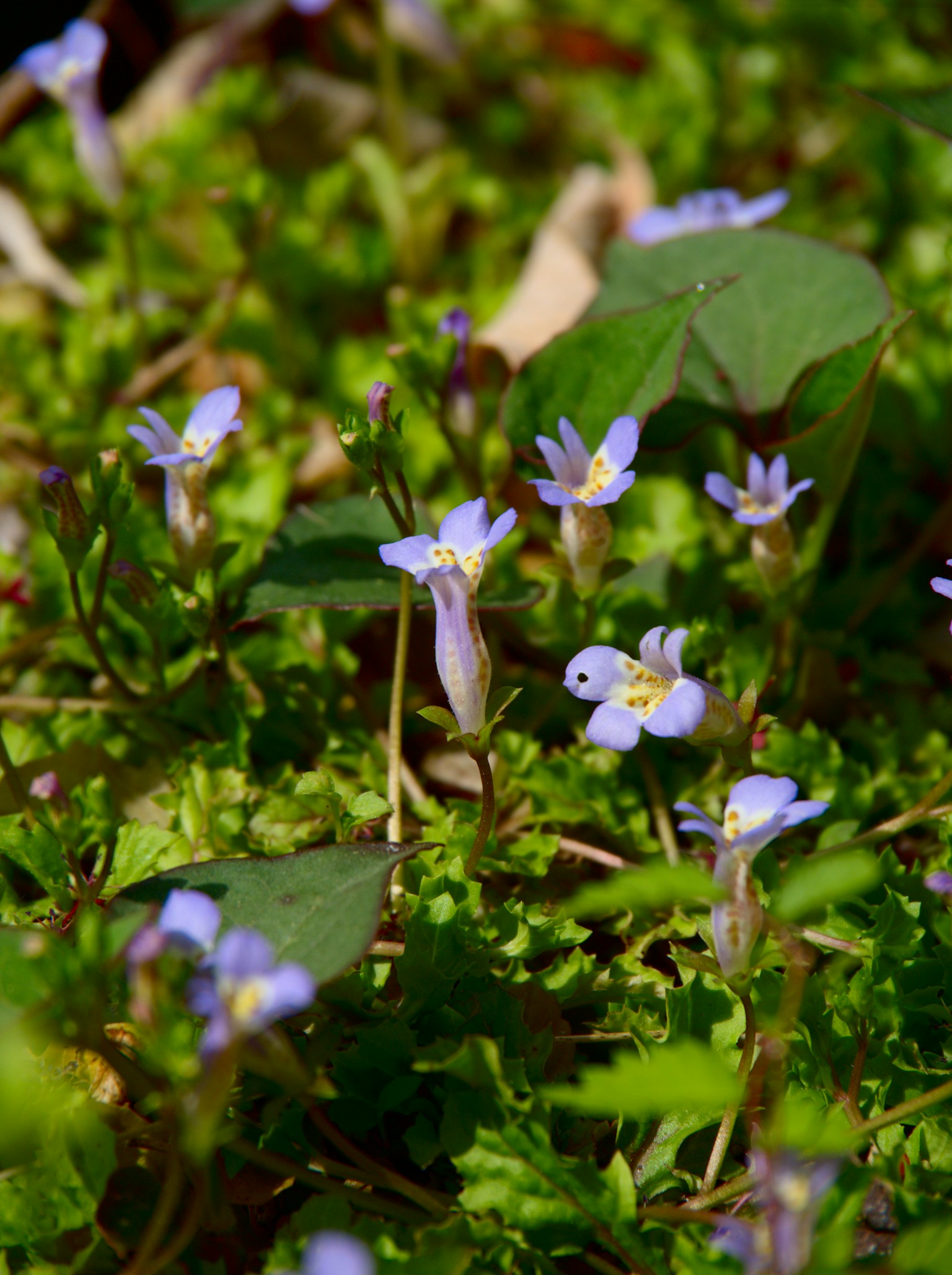 photo-AKE4OlPHWV4cz8RNZ5L8-image