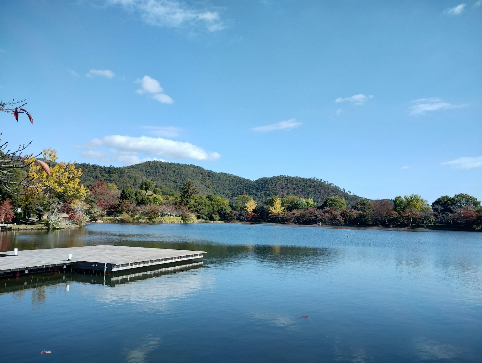 photo-AKHjTIn1HTjM56El0Y8d-image