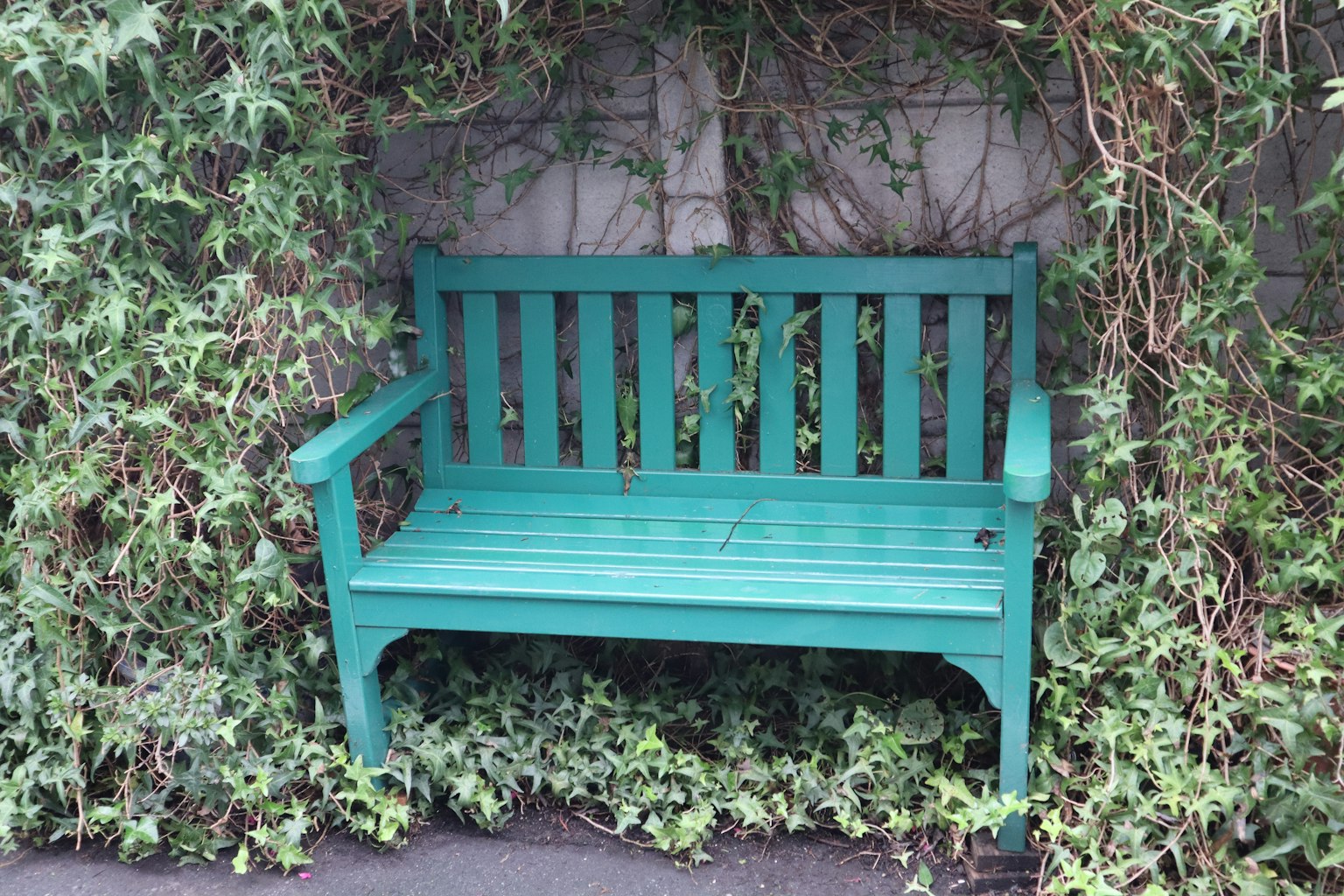Un banc en bois vert entouré de verdure luxuriante