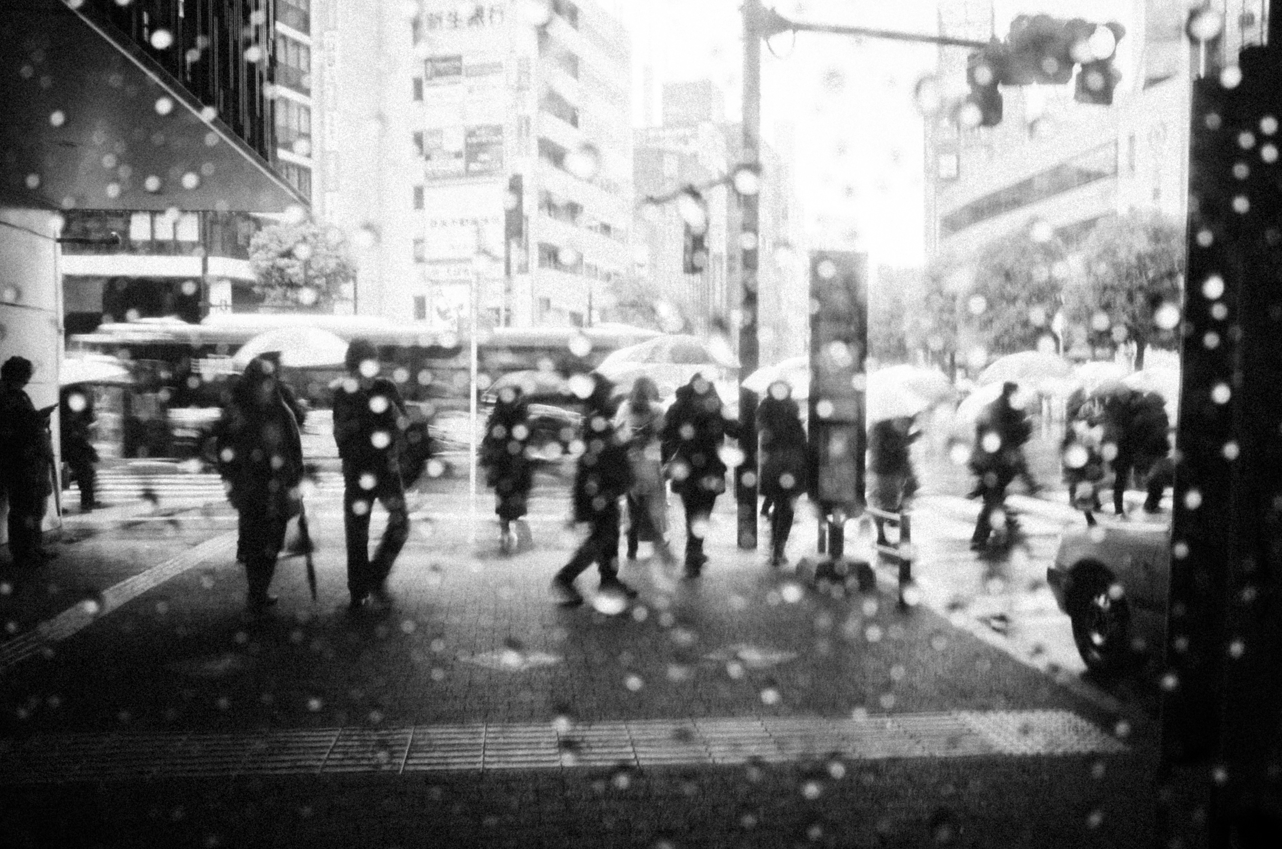 降る雪の中を行き交う人々のある都心の交差点