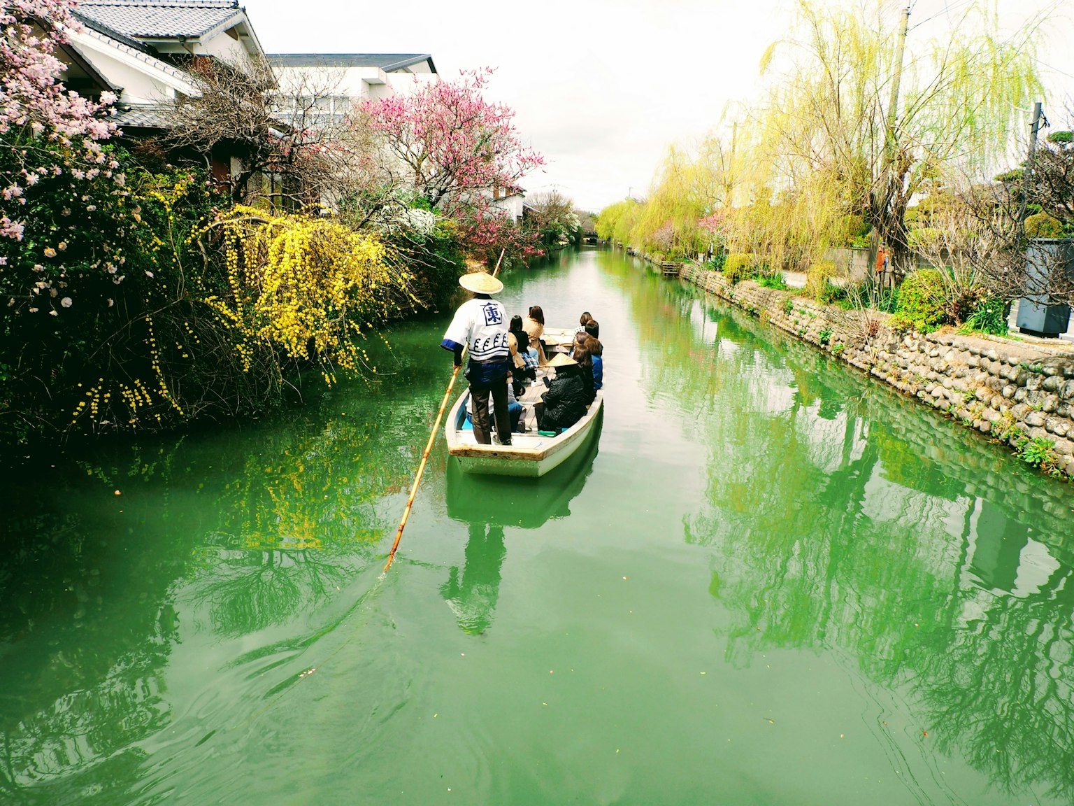 Một chiếc thuyền di chuyển qua kênh xanh bao quanh bởi hoa và cây cối đang nở
