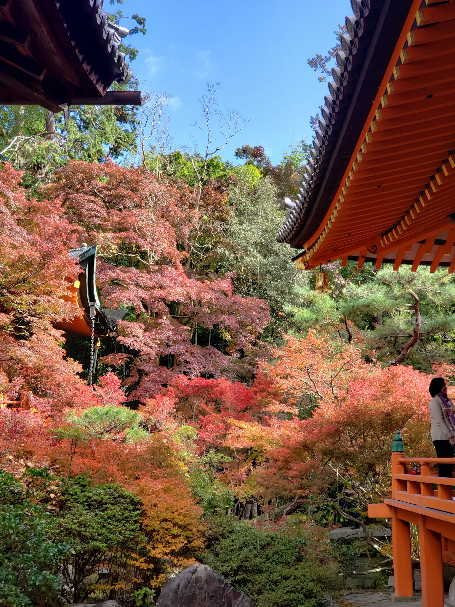 Scenic view of traditional Japanese architecture surrounded by vibrant autumn leaves