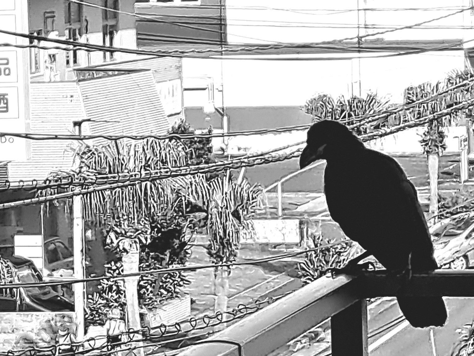 Black bird perched on balcony railing with urban background