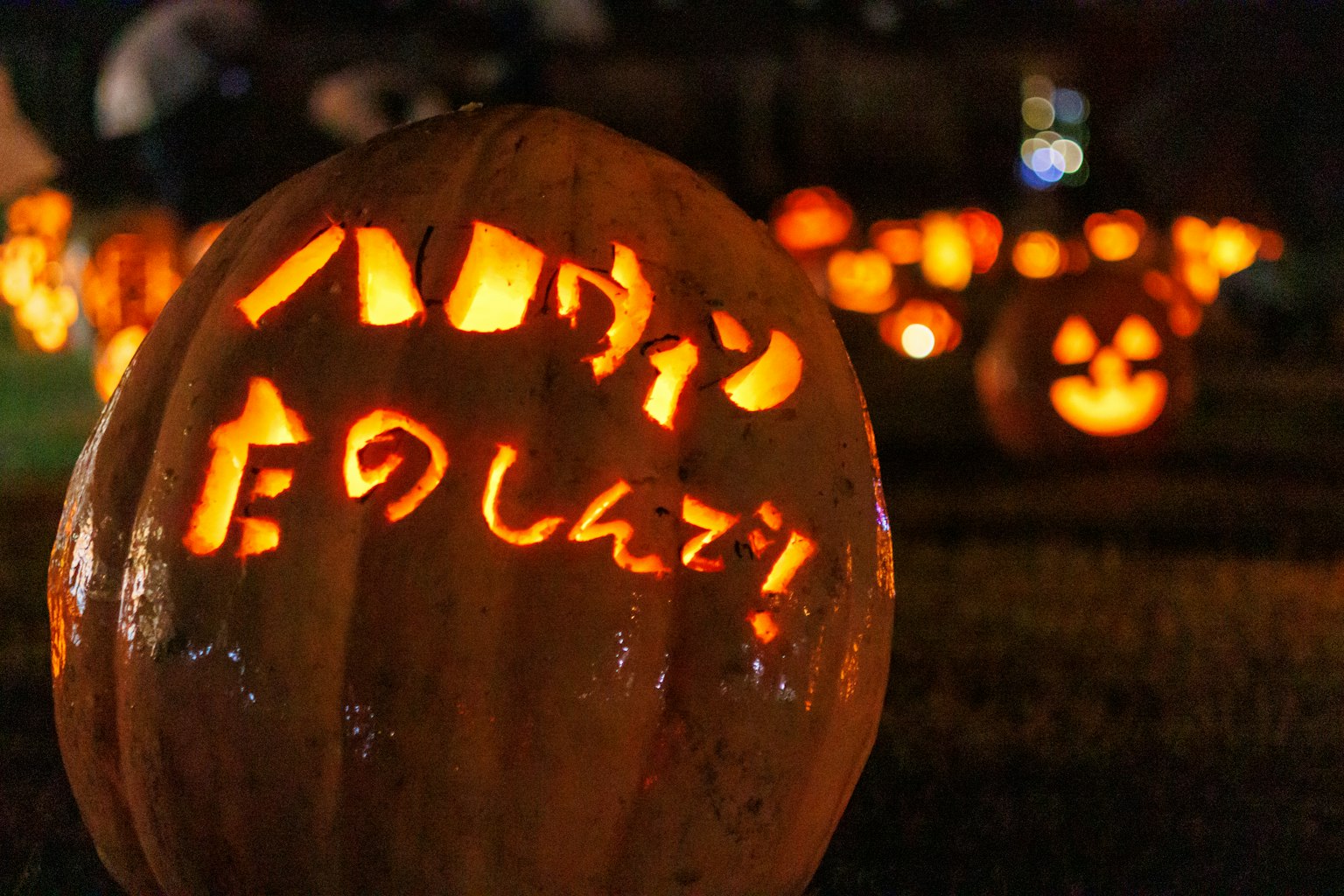 photo-AMZCjNze8JUzYm0yvjJj-image