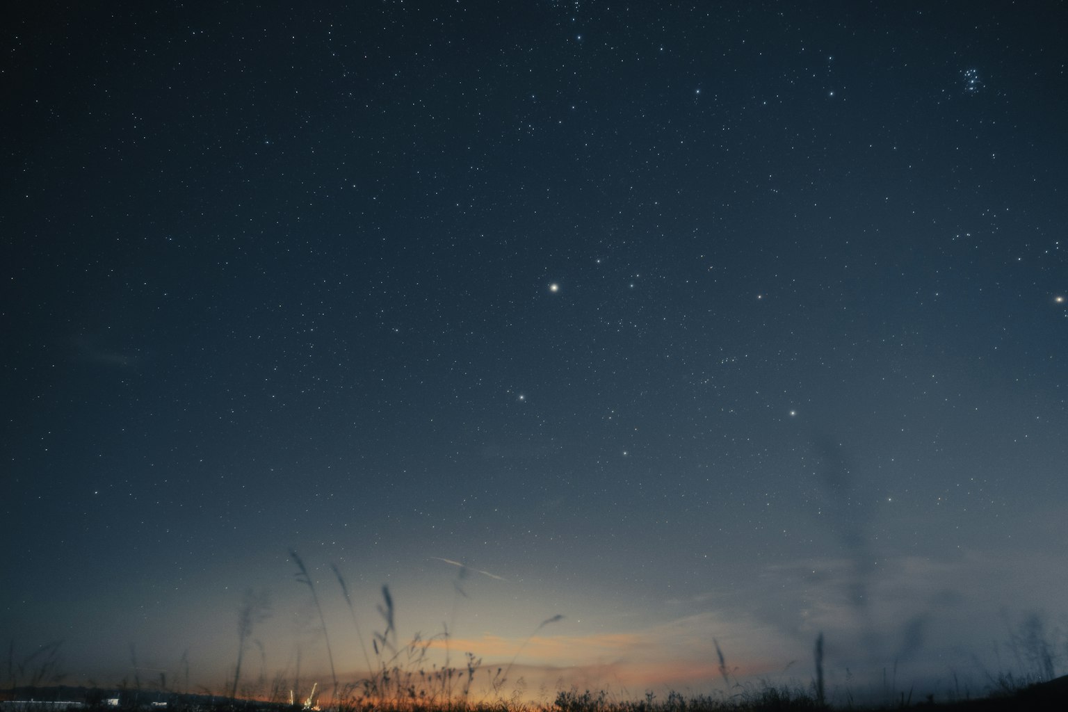 Starry sky over a grassy landscape Bright stars shining in the night sky with horizon light