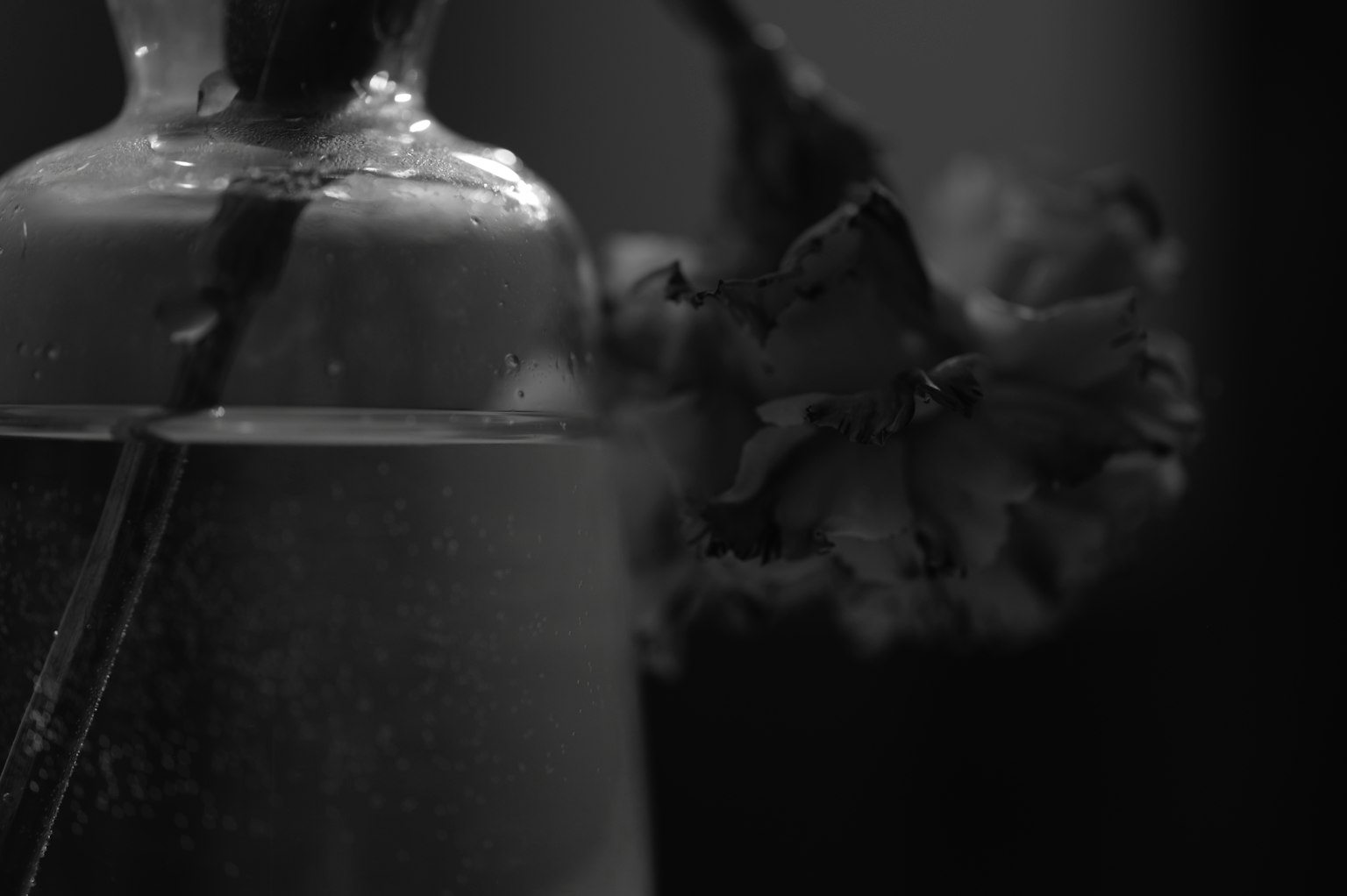 Black and white image of a vase with water and a flower