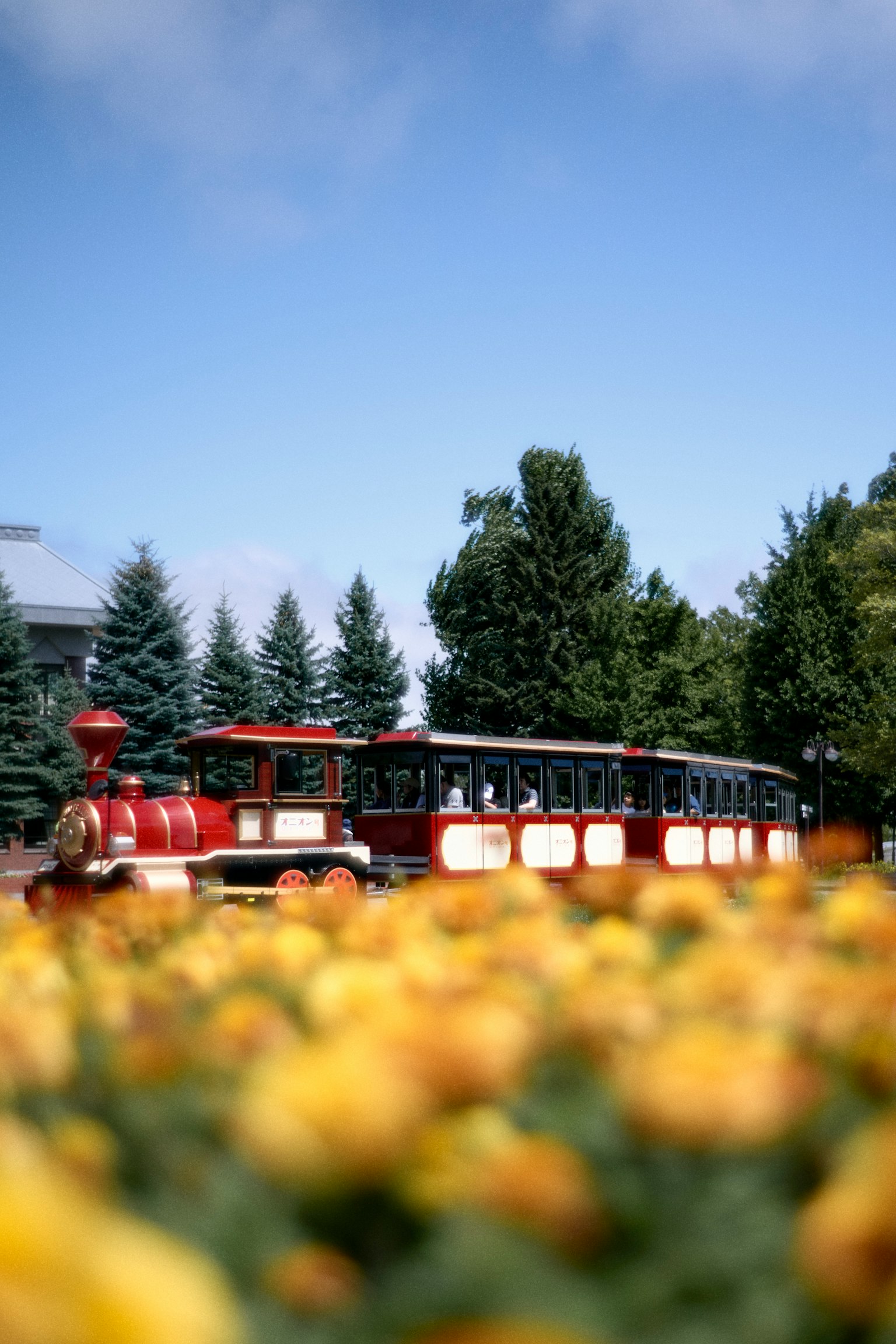 Red tourist train in a park with colorful flowers