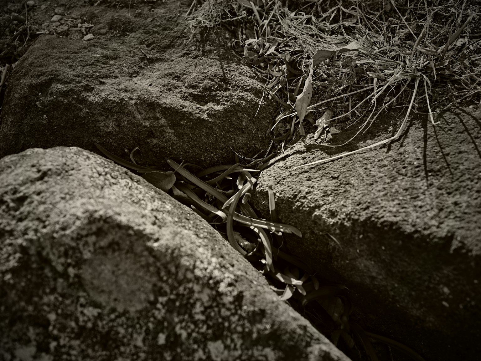 photo-ANiV821SvnPChdLCLj4a-image