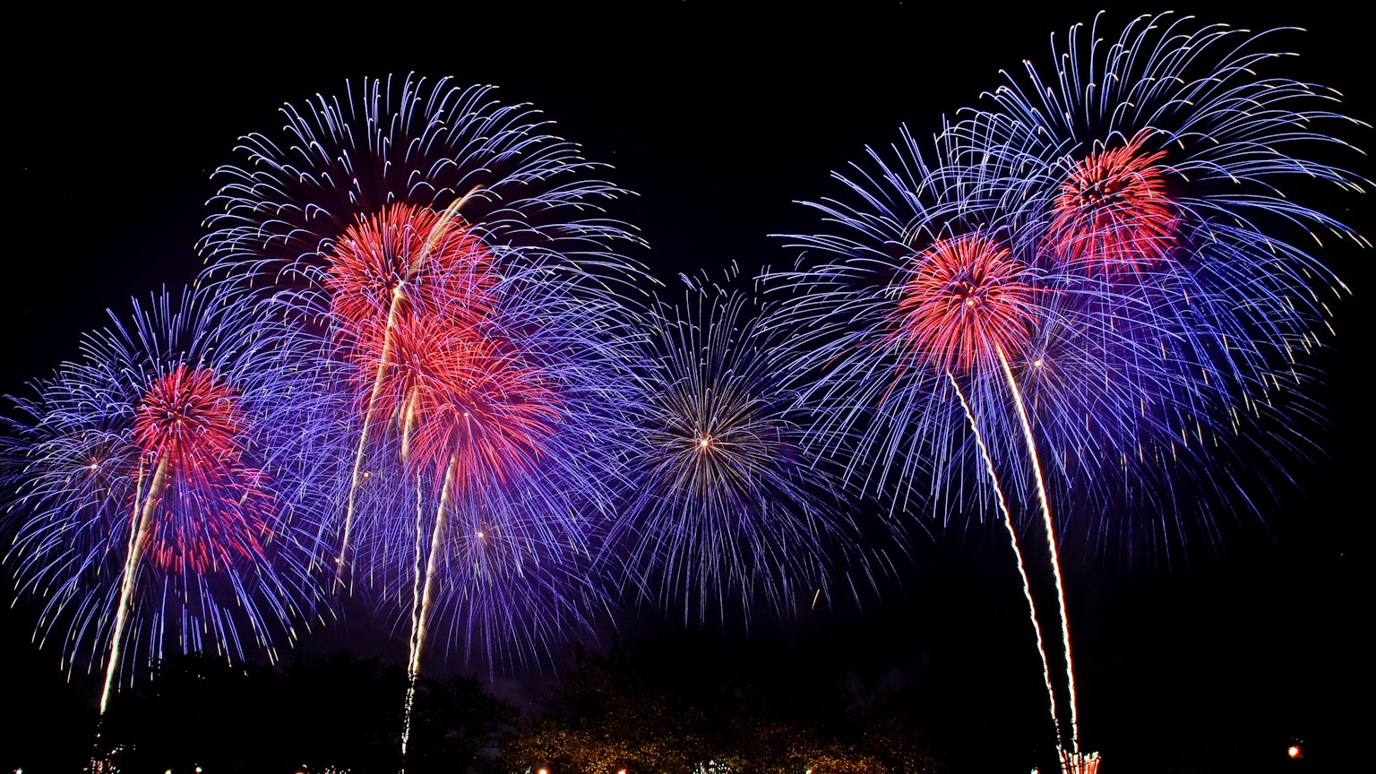 Colorful fireworks exploding in the night sky