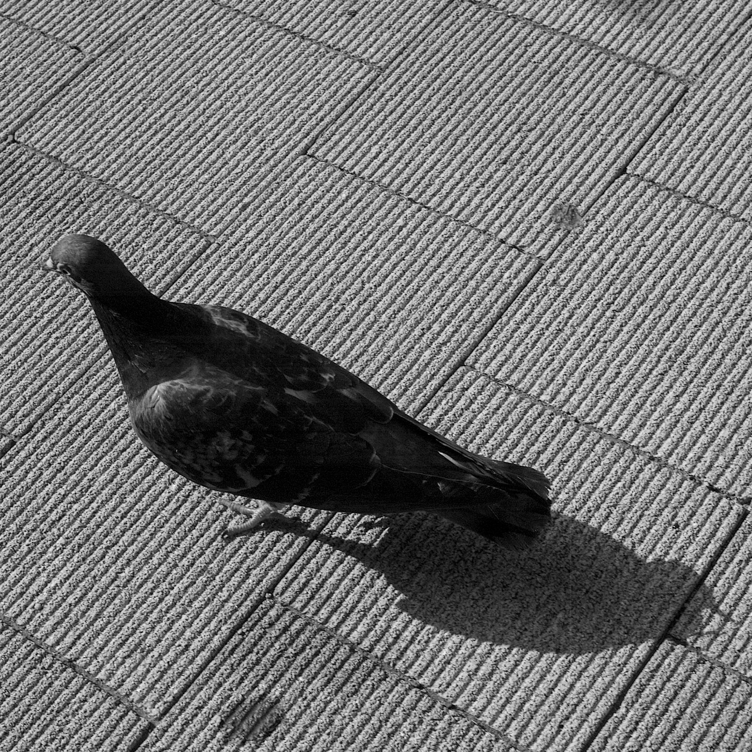 photo-AO1sJX3JgO3xj3WBU4Rx-image