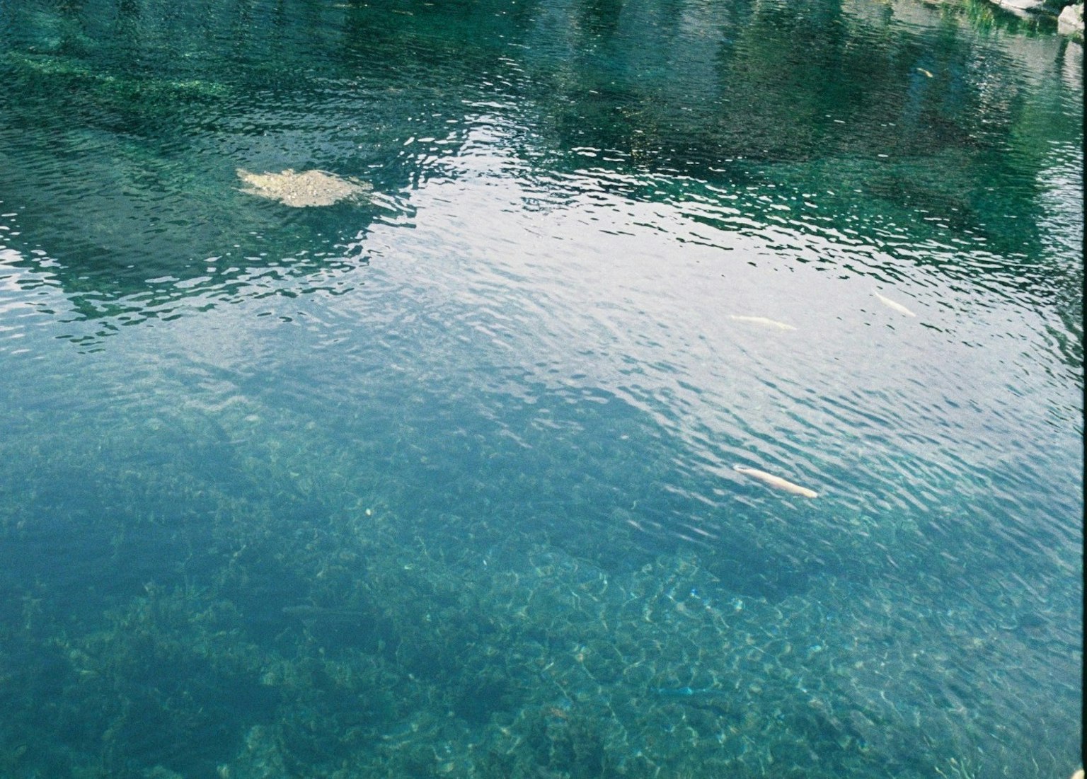 清澈的绿松石水面映出绿色风景