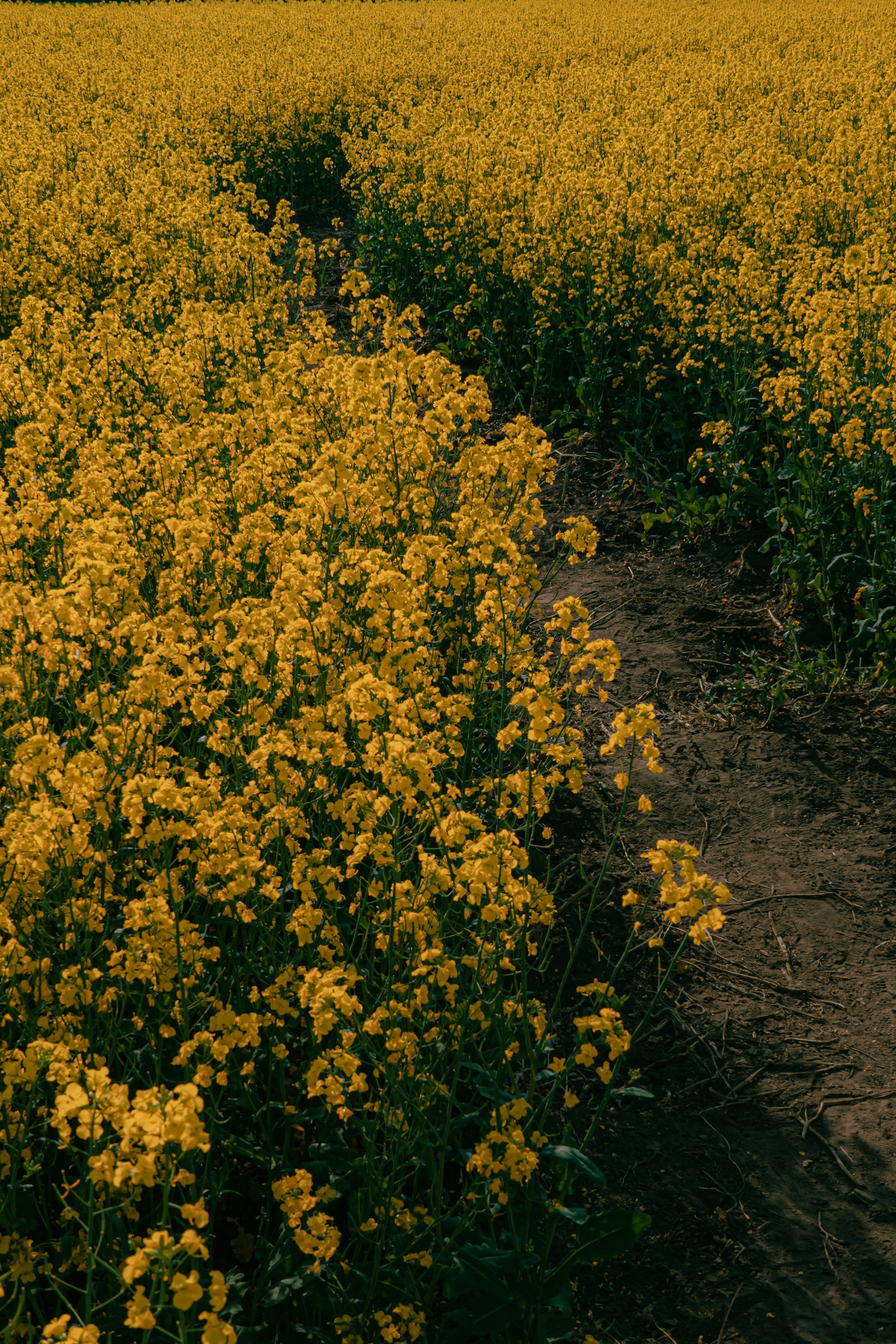 photo-AOq57a5ZfrmbwxPMhtpi-image
