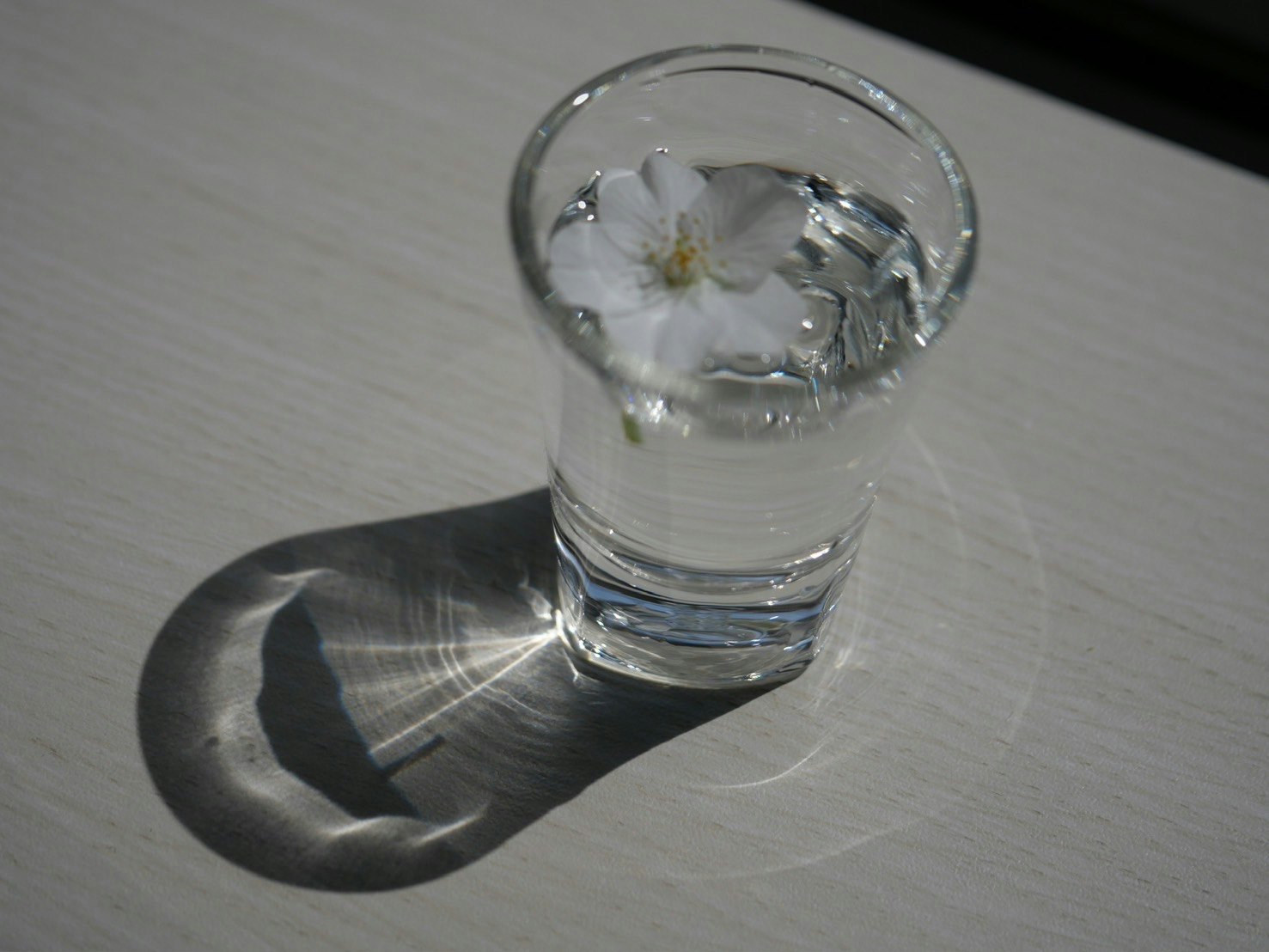 裝滿水的透明玻璃杯與倒影