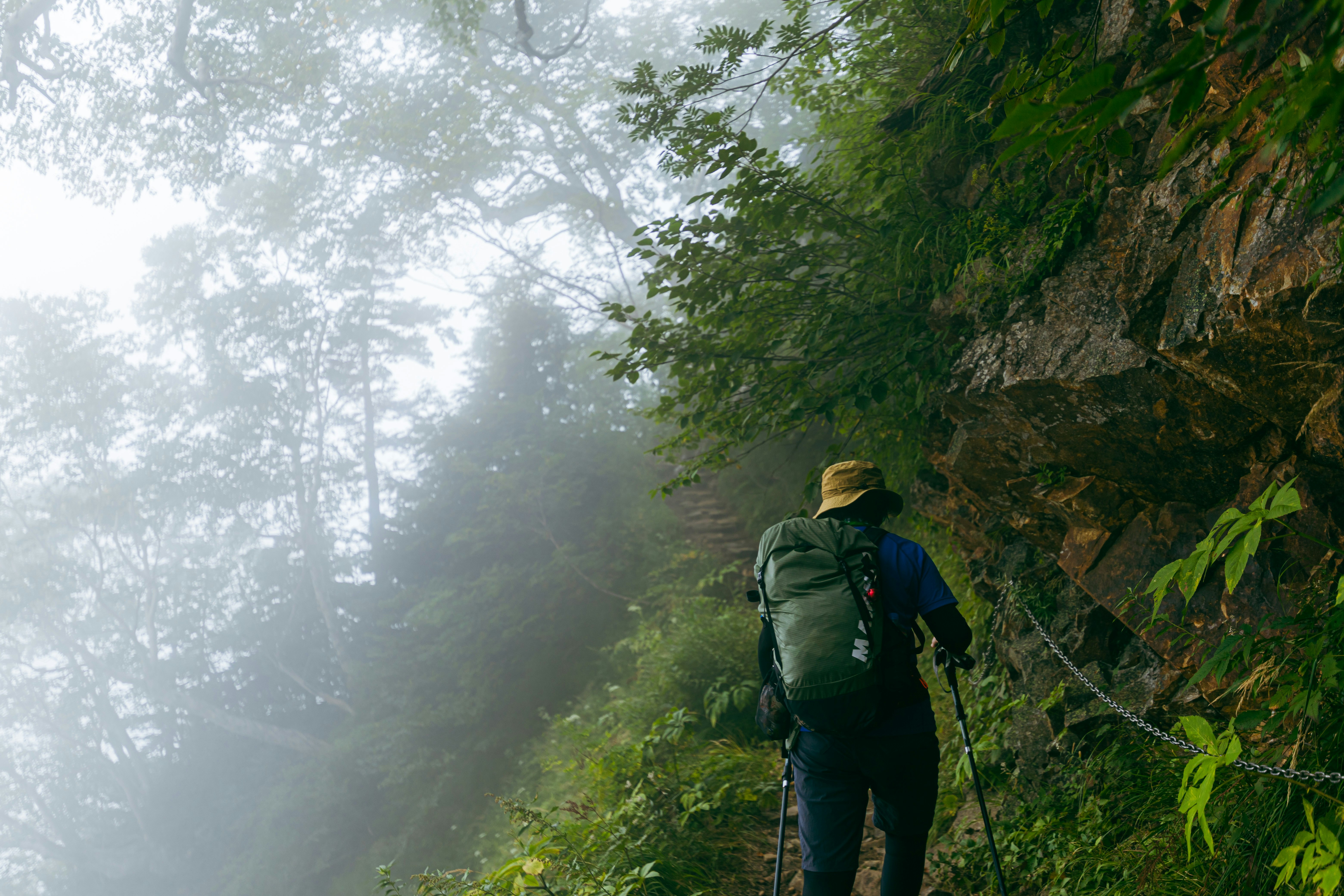 hiker trekking through a foggy forest