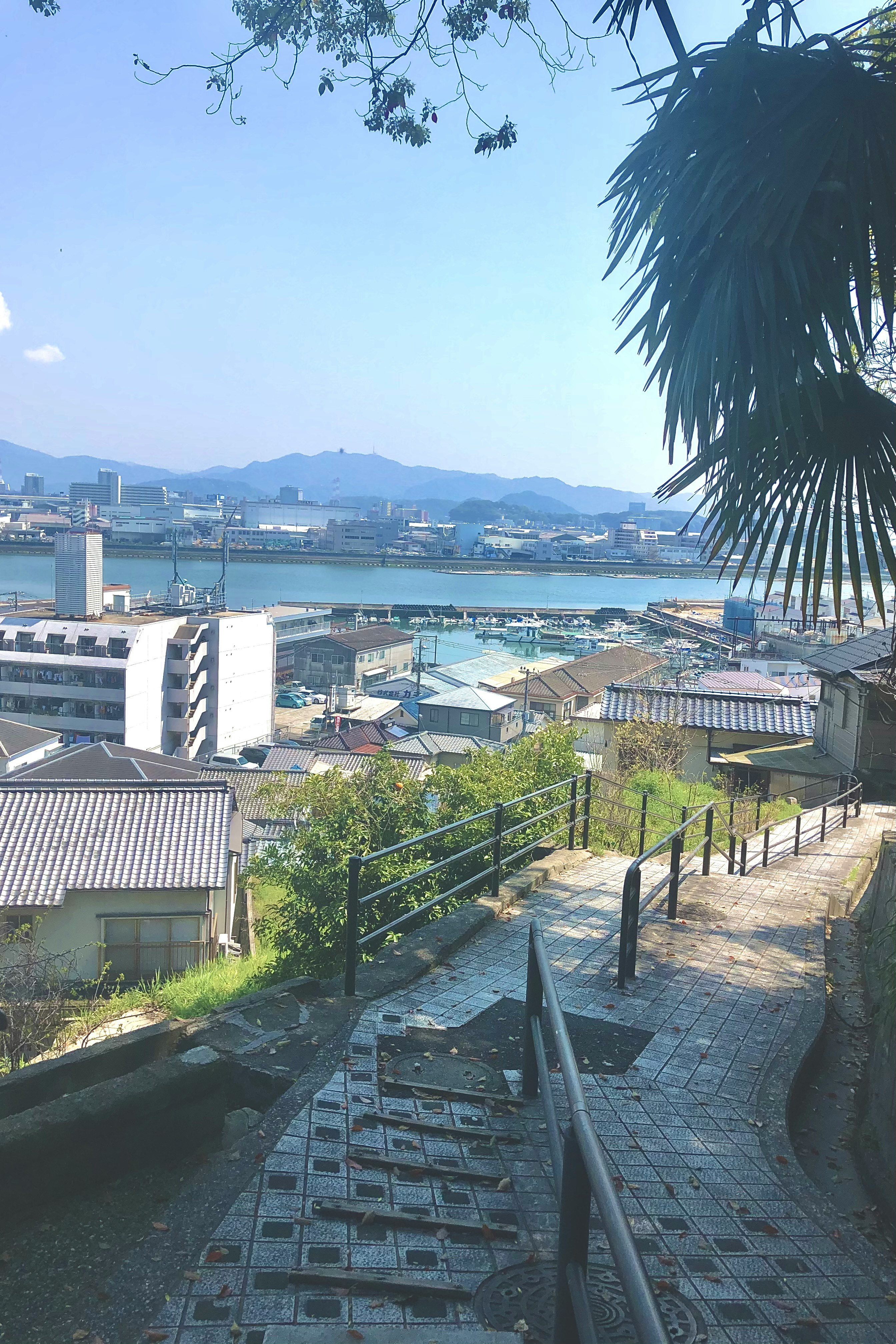 瀬戸内の海沿いの街並みと港を見下ろす坂道の眺め
