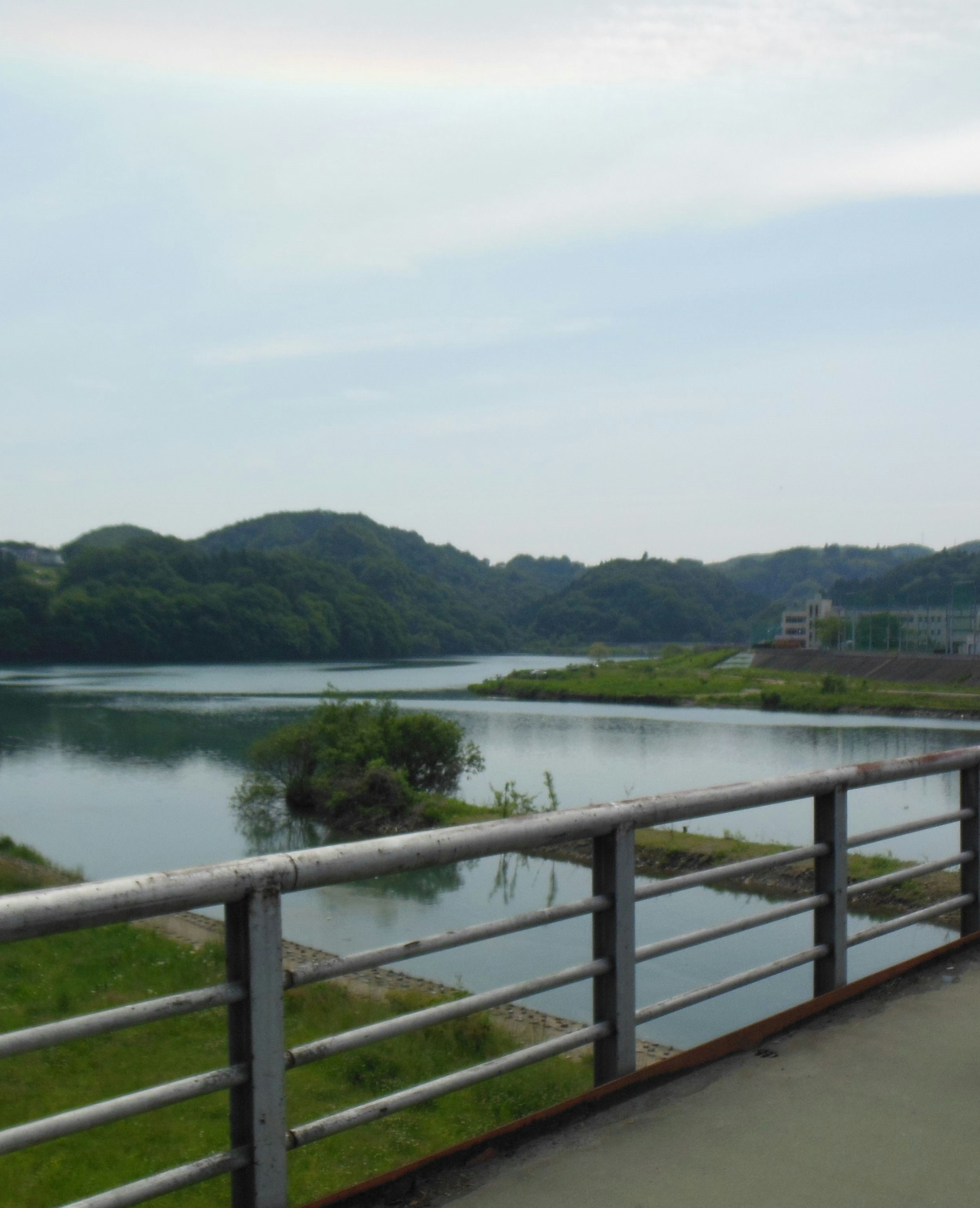 川沿いのフェンス越しに広がる緑の丘と水面
