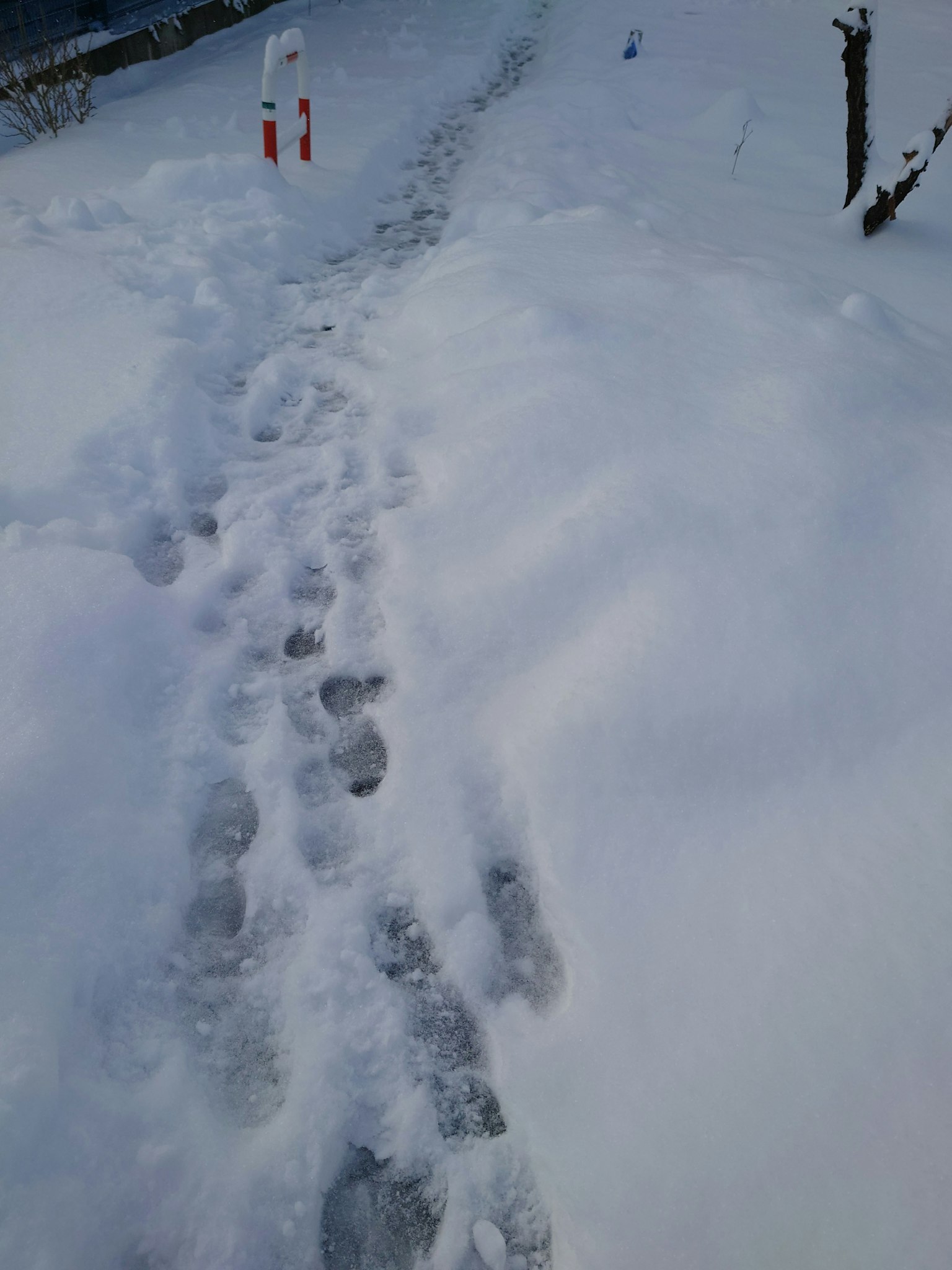Impronte nella neve su un sentiero con indicatori rossi