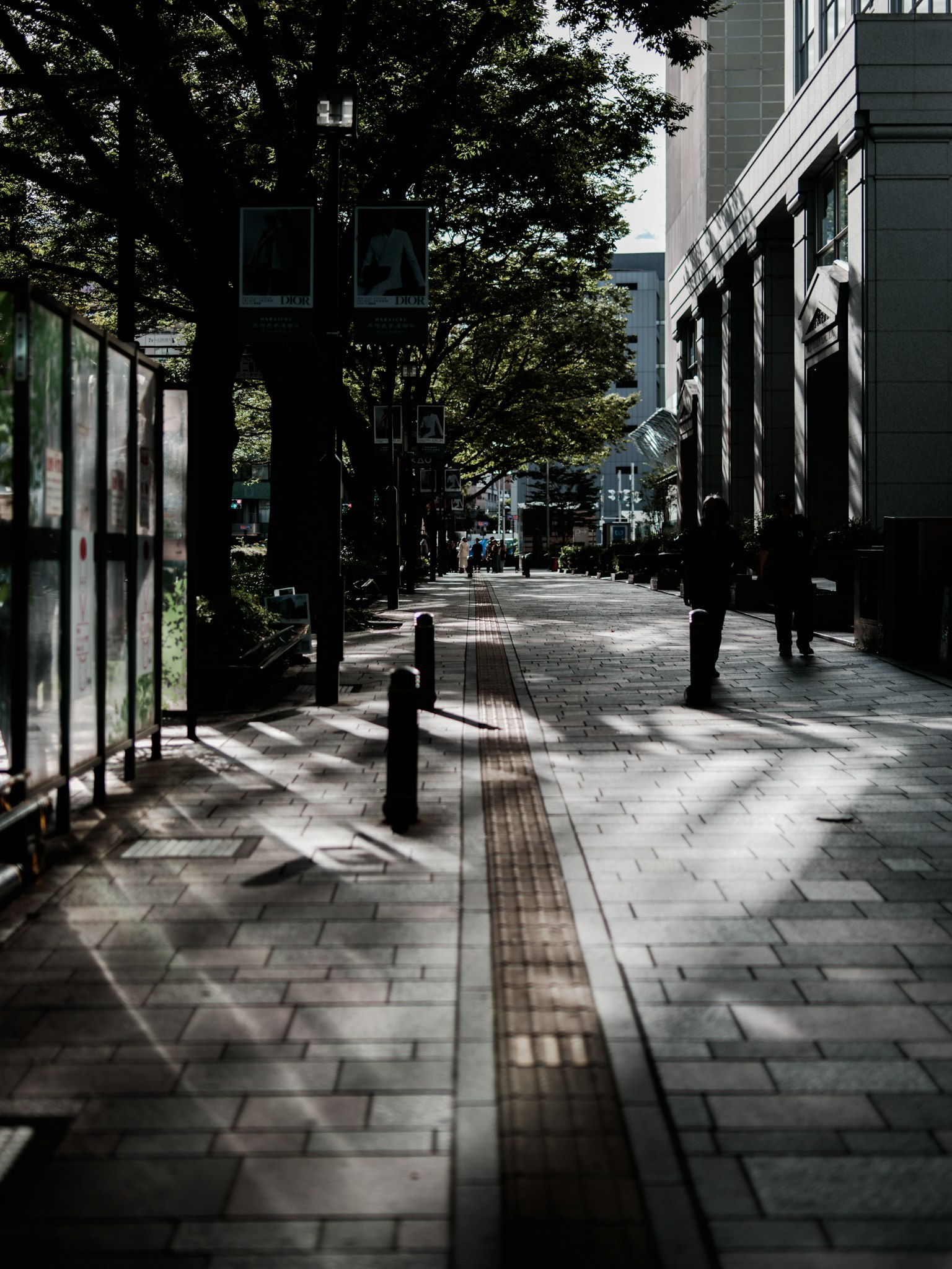 Eine Straßenansicht, die schöne Kontraste von Schatten und Licht entlang des Weges zeigt