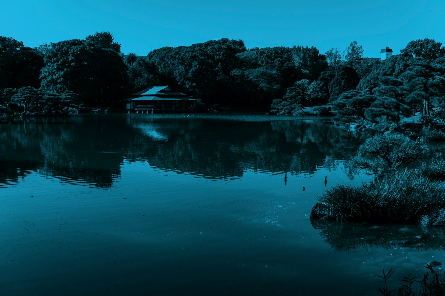 Ruhiger Seeblick mit spiegelnden üppigen Bäumen und einem Gebäude