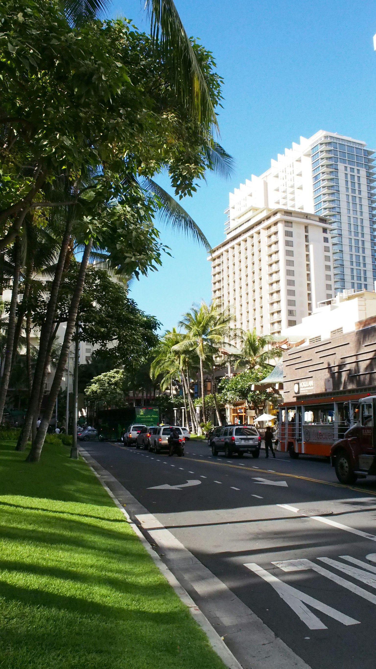 夏威夷街道景观蓝天高楼郁郁葱葱的草坪和棕榈树