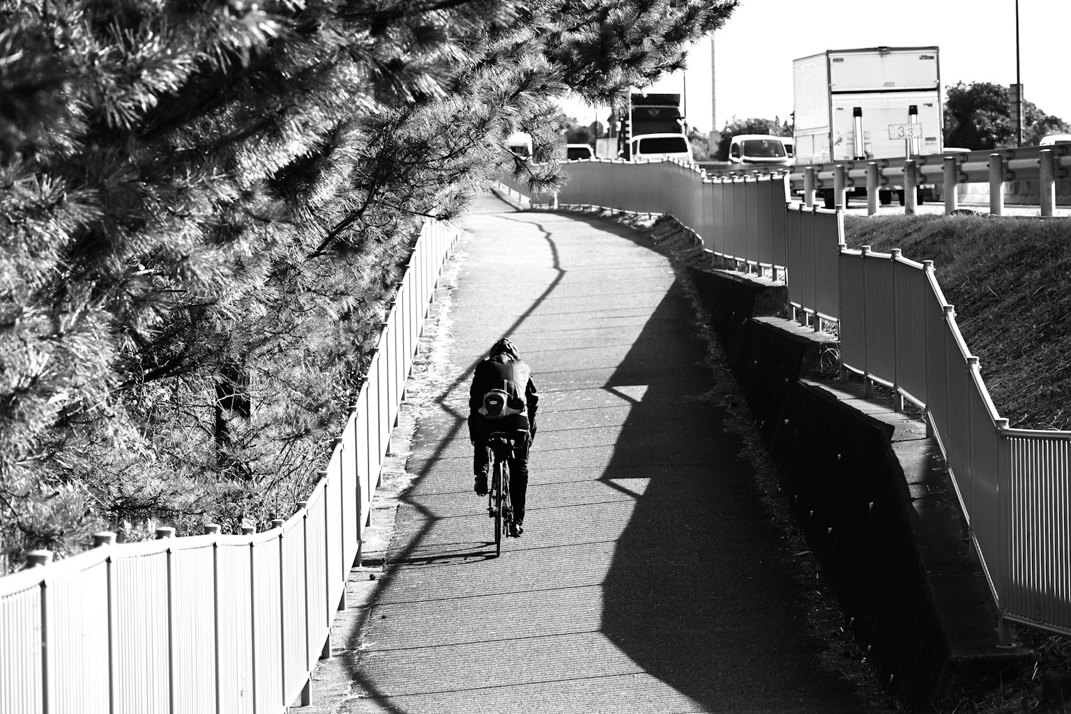 Foto en blanco y negro de una persona montando en bicicleta por un camino