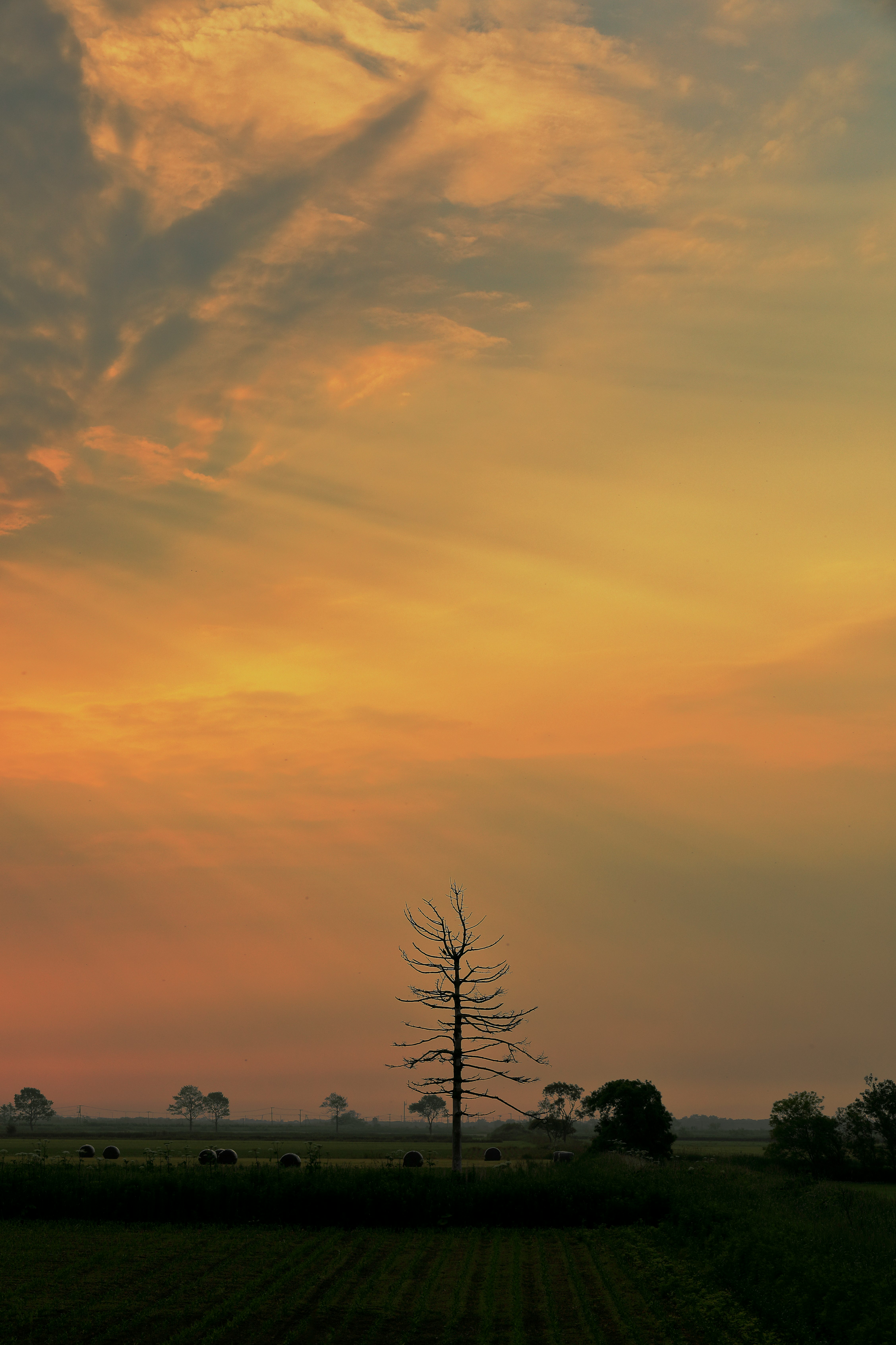 夕焼けの空と畑の風景