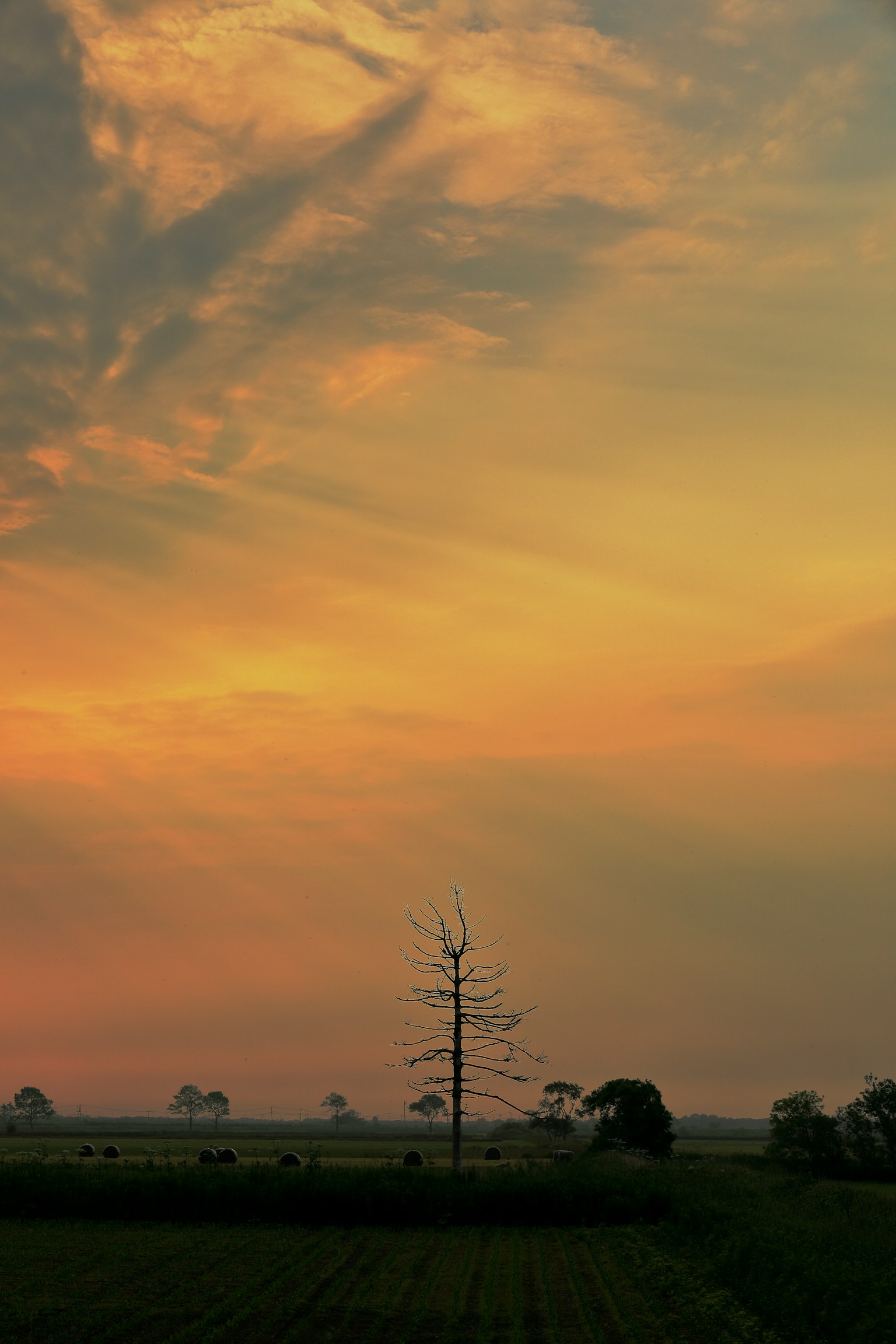 photo-ASKUujU6ihHmn2fTzbfI-image