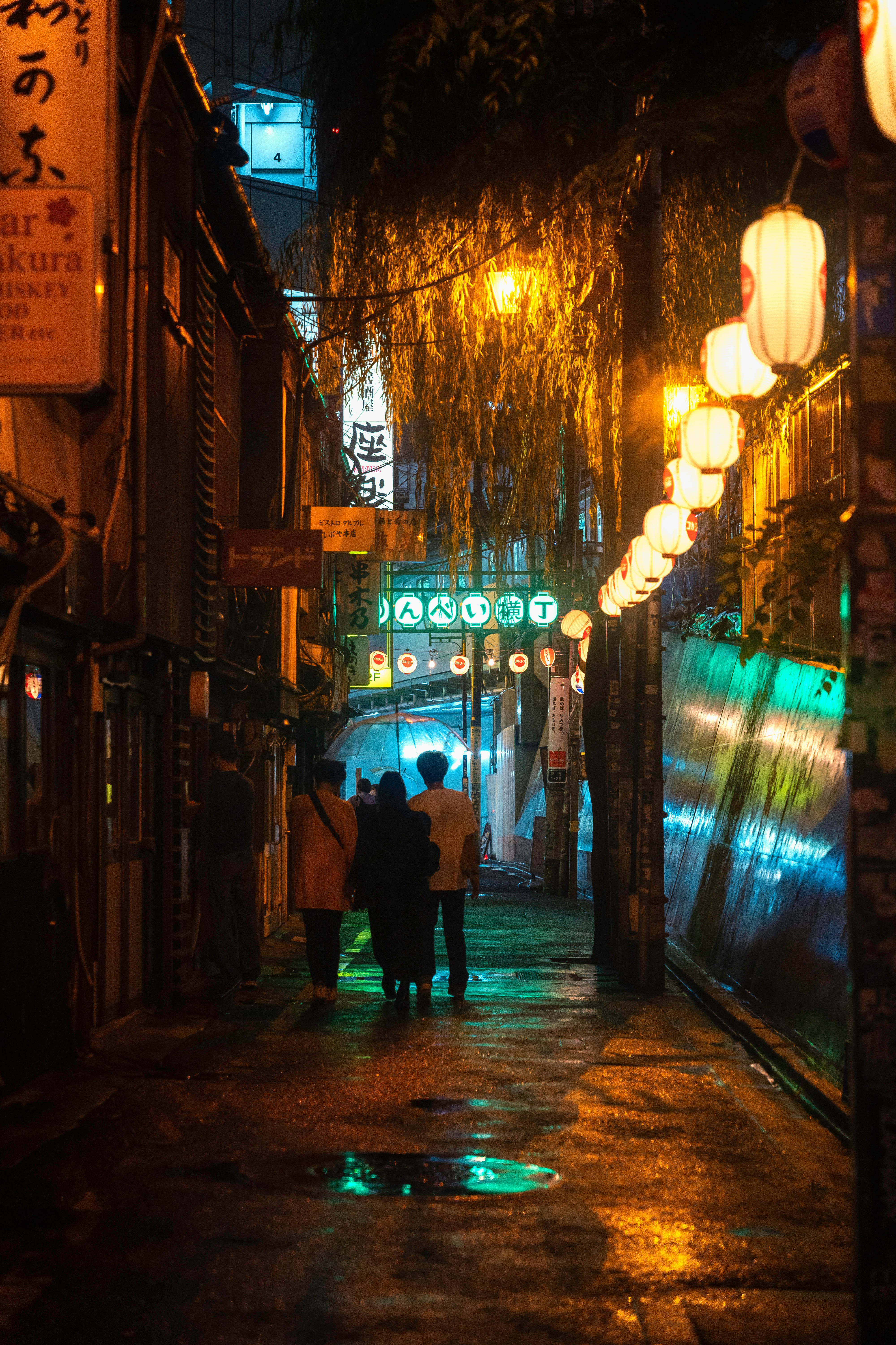 夜の路地に並ぶ提灯とネオンの光
