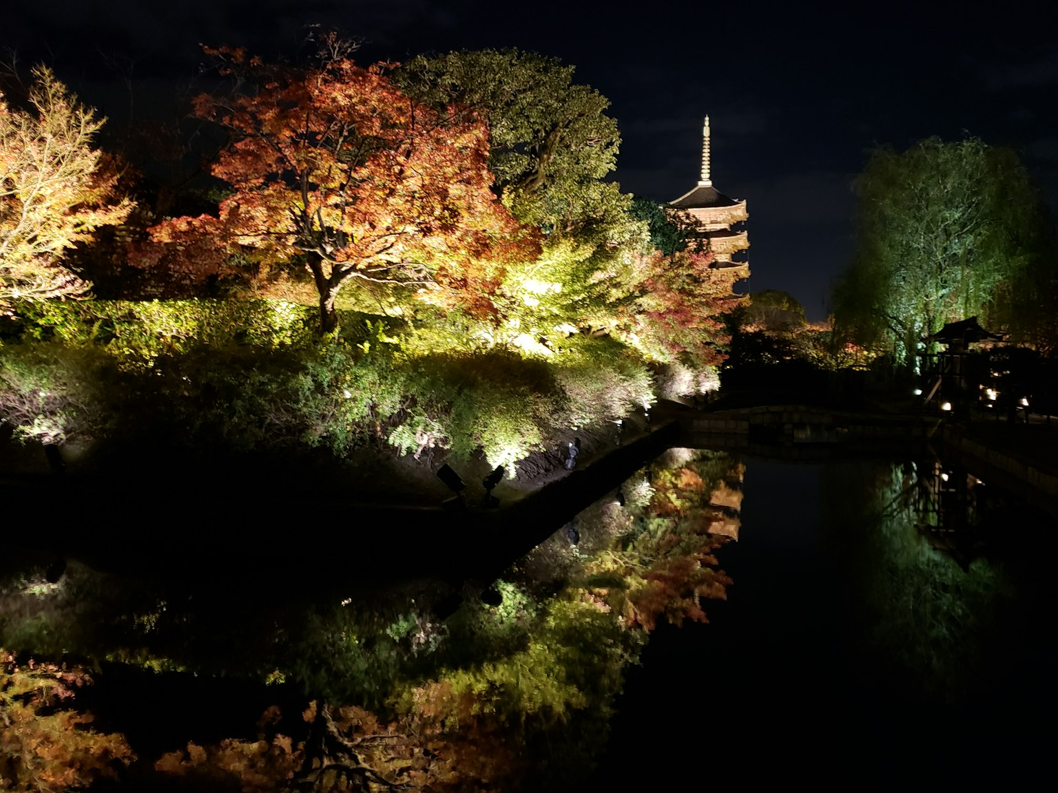Illuminated autumn leaves and the reflection in the pond at night featuring a pagoda