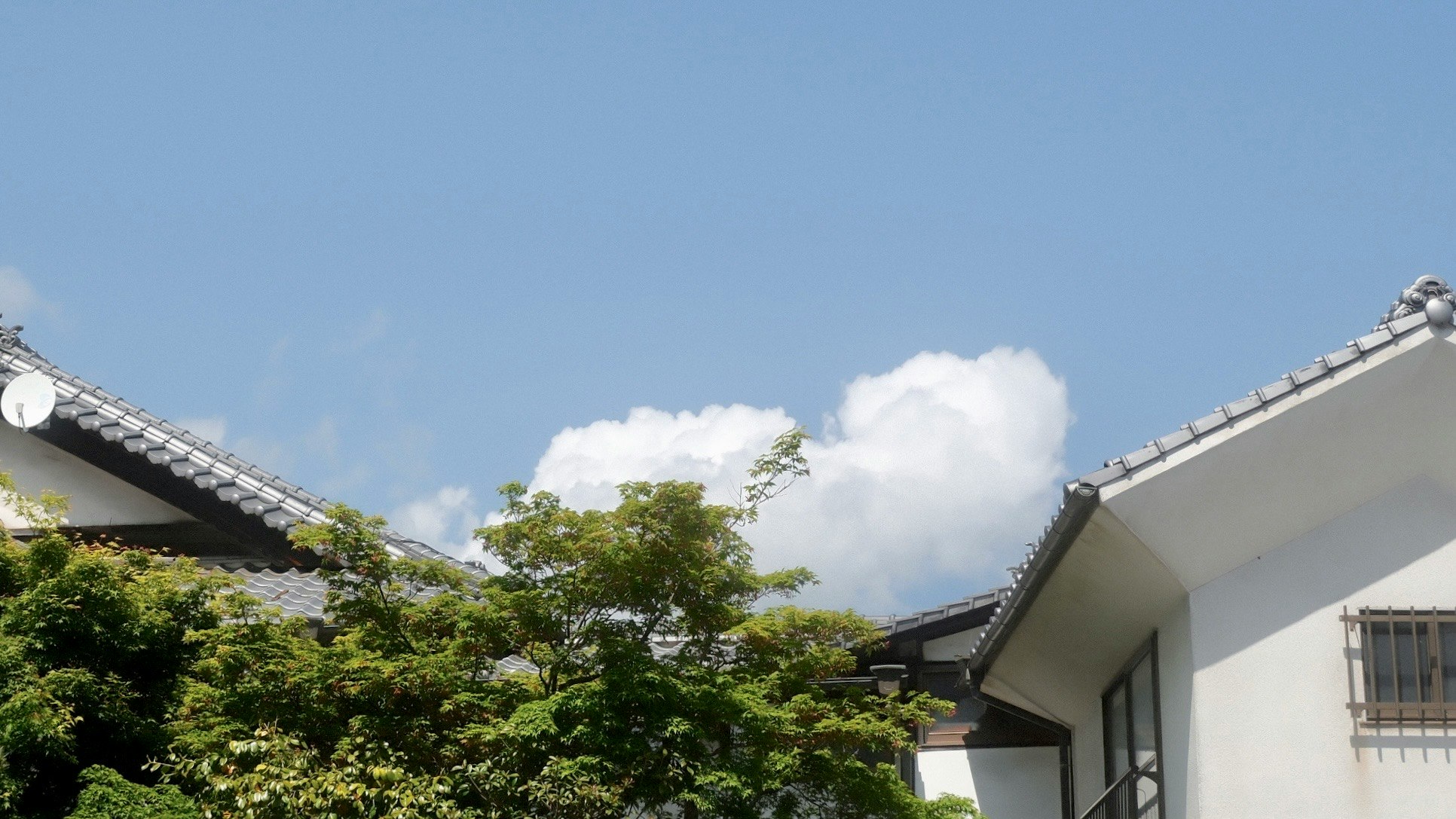青空の下、瓦屋根のある日本家屋と庭の緑